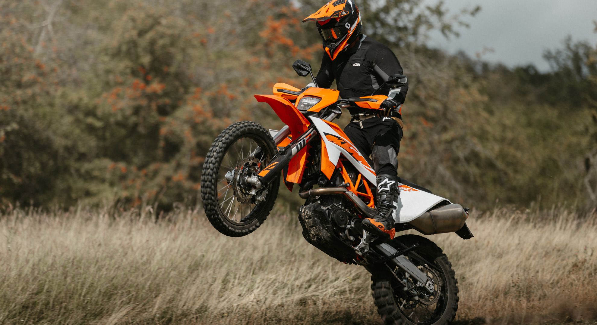 Cartucho WP Xplor Pro 6500 para KTM 390/125 Enduro/Adventure