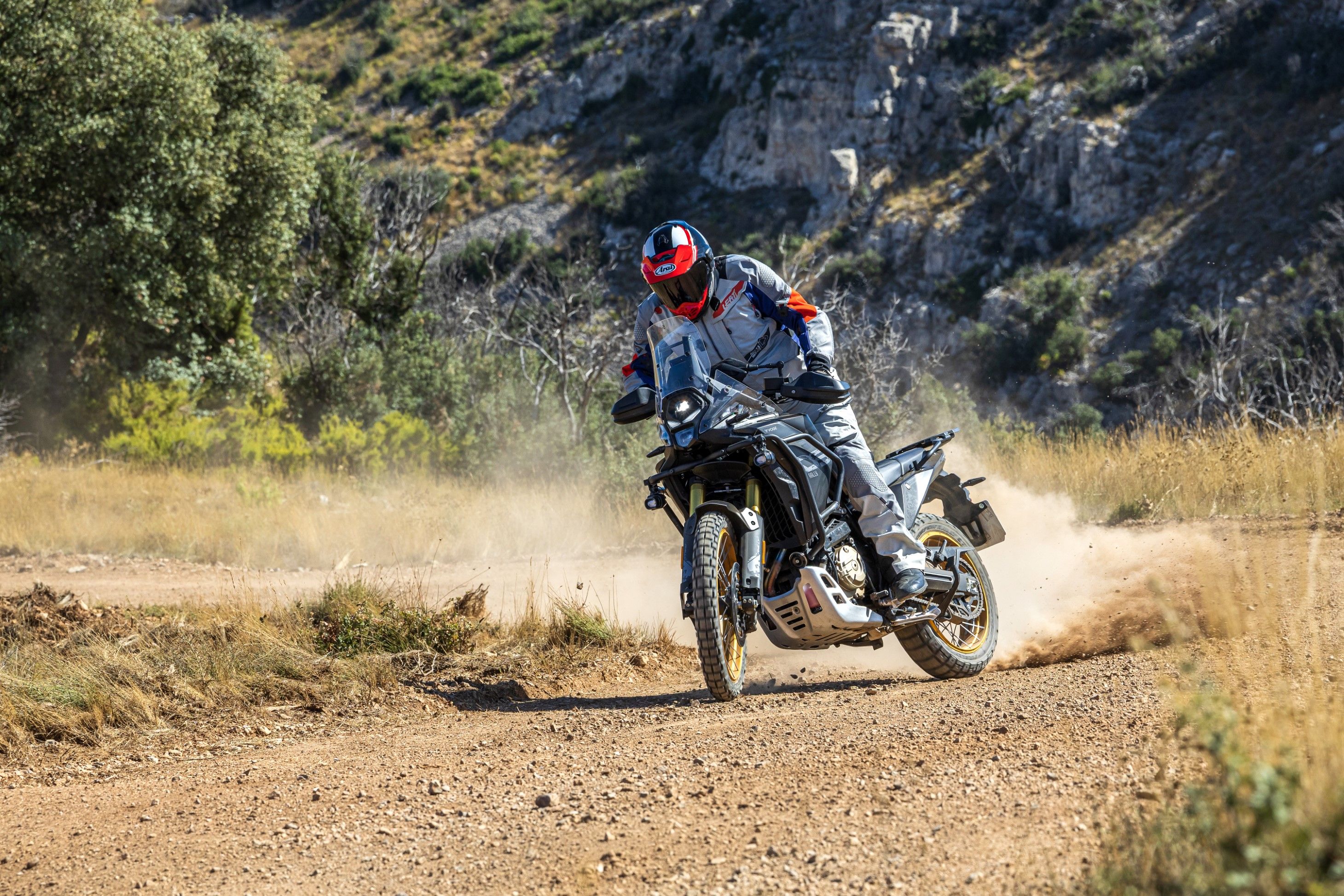 VOGE DS800 RALLY   SANTI AYALA 17 (Grande)