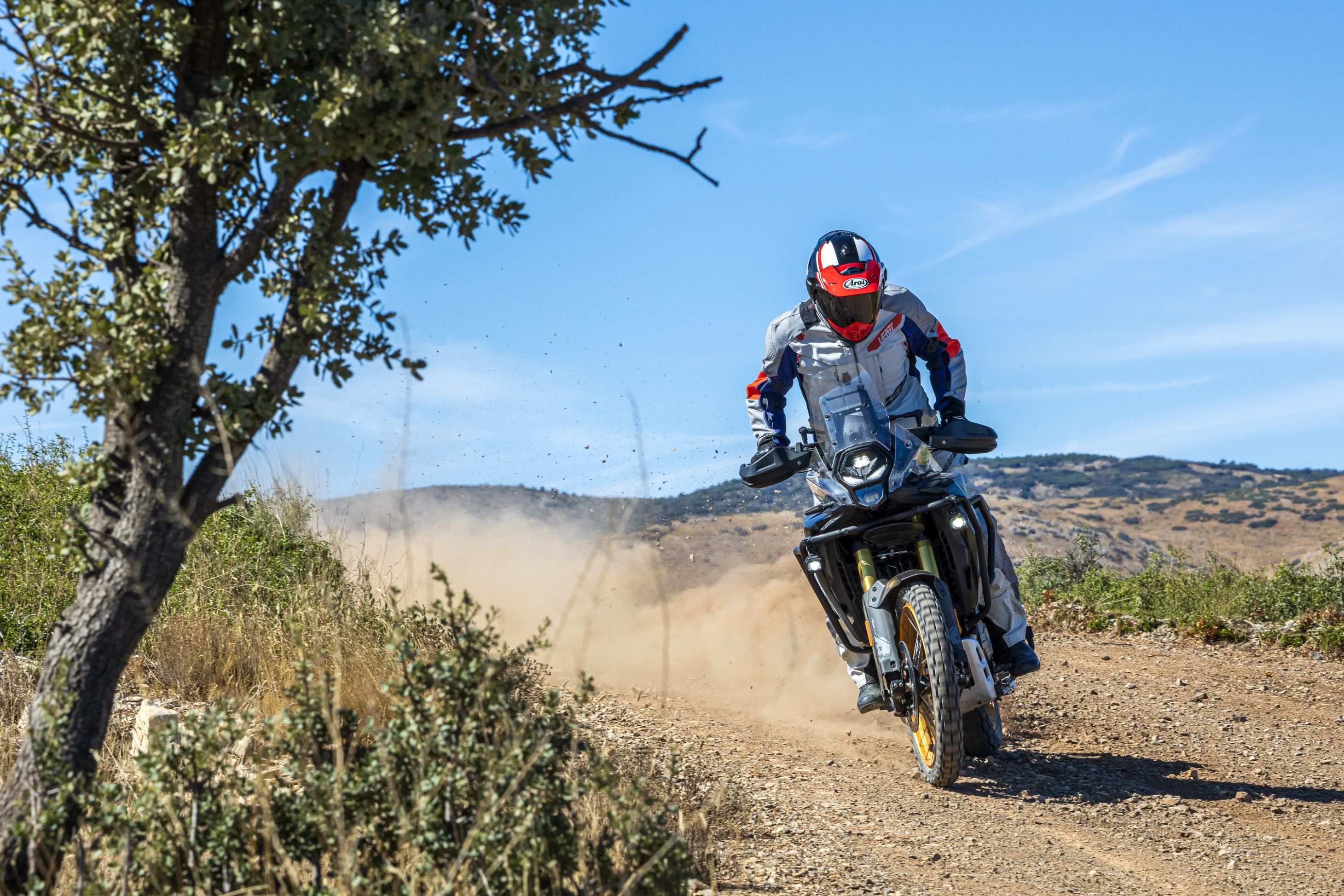 VOGE DS800 RALLY   SANTI AYALA 29 (Grande)