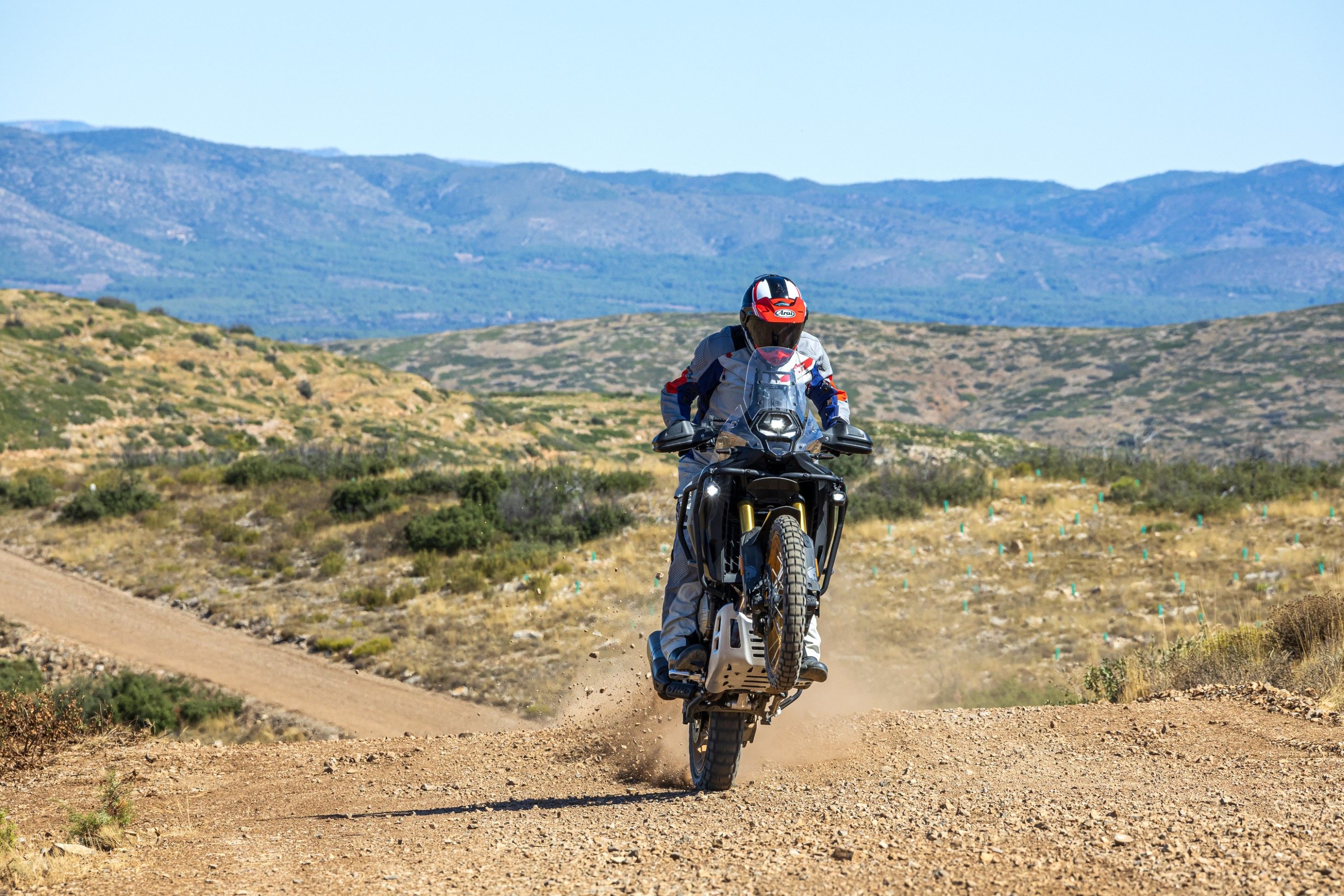 VOGE DS800 RALLY   SANTI AYALA 25 (Grande)