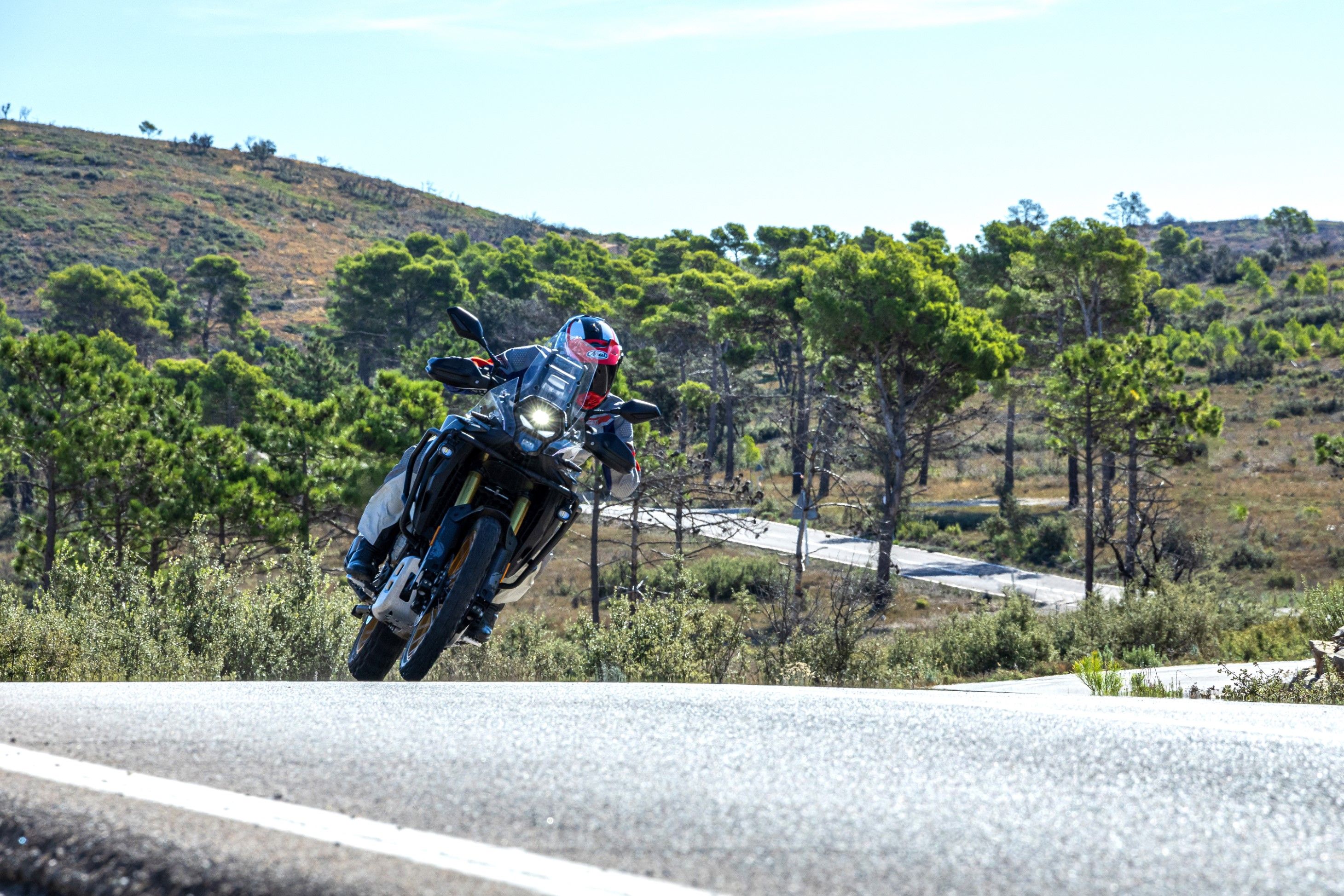 VOGE DS800 RALLY   SANTI AYALA 14 (Grande)