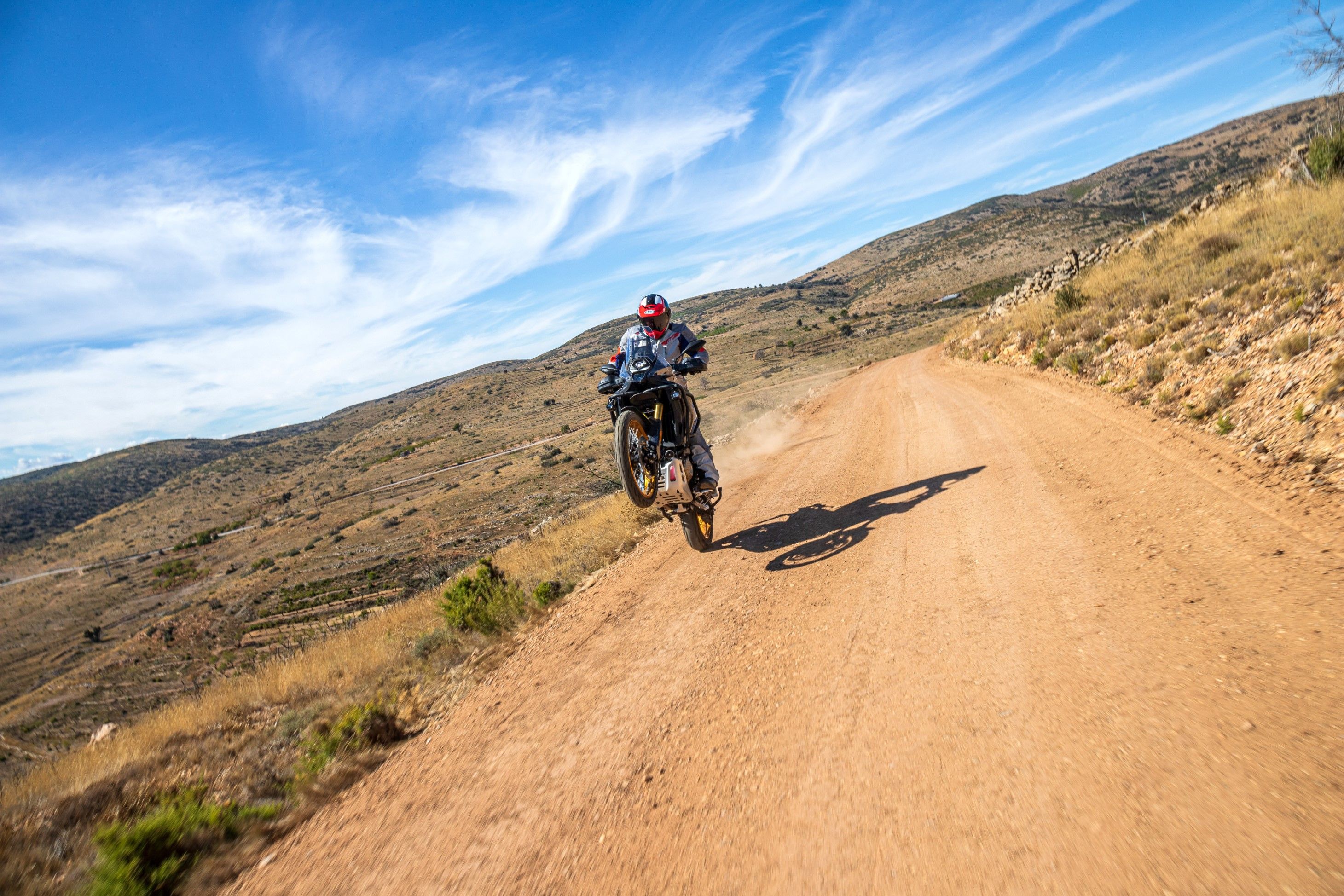 VOGE DS800 RALLY   SANTI AYALA 41 (Grande)