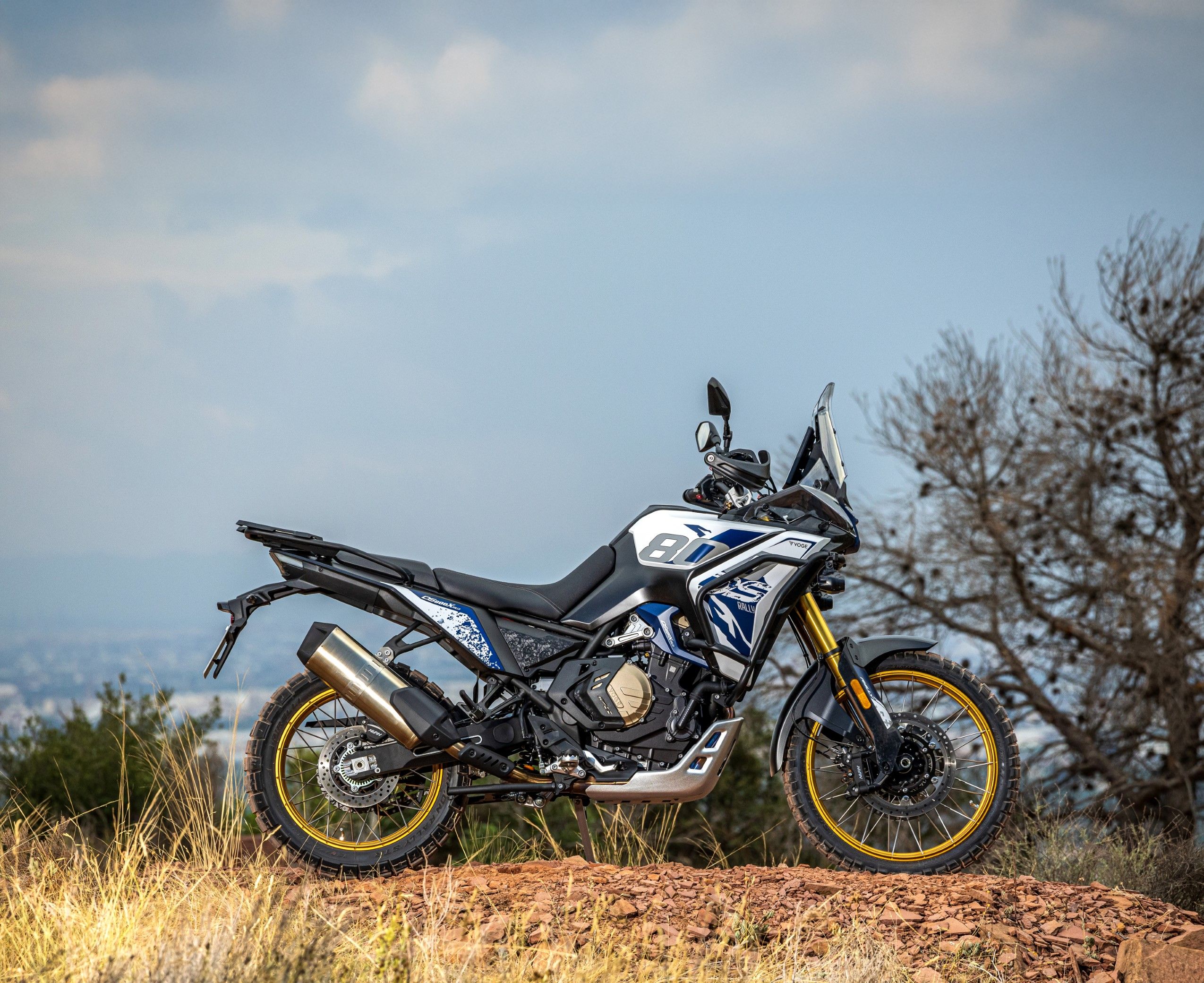 Voge DS 800 Rally 2025 Estatica (6) (Grande)