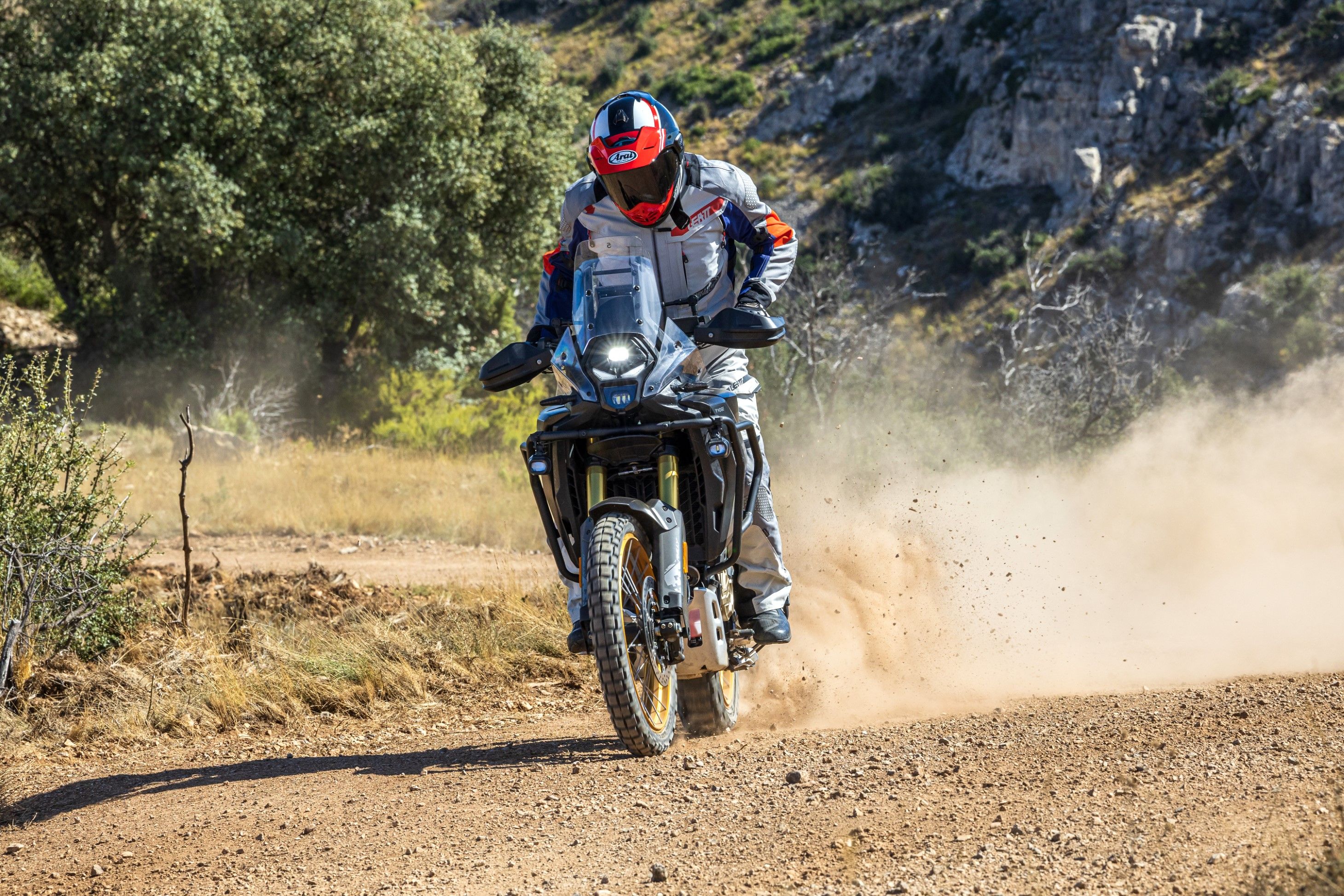 VOGE DS800 RALLY   SANTI AYALA 18 (Grande)