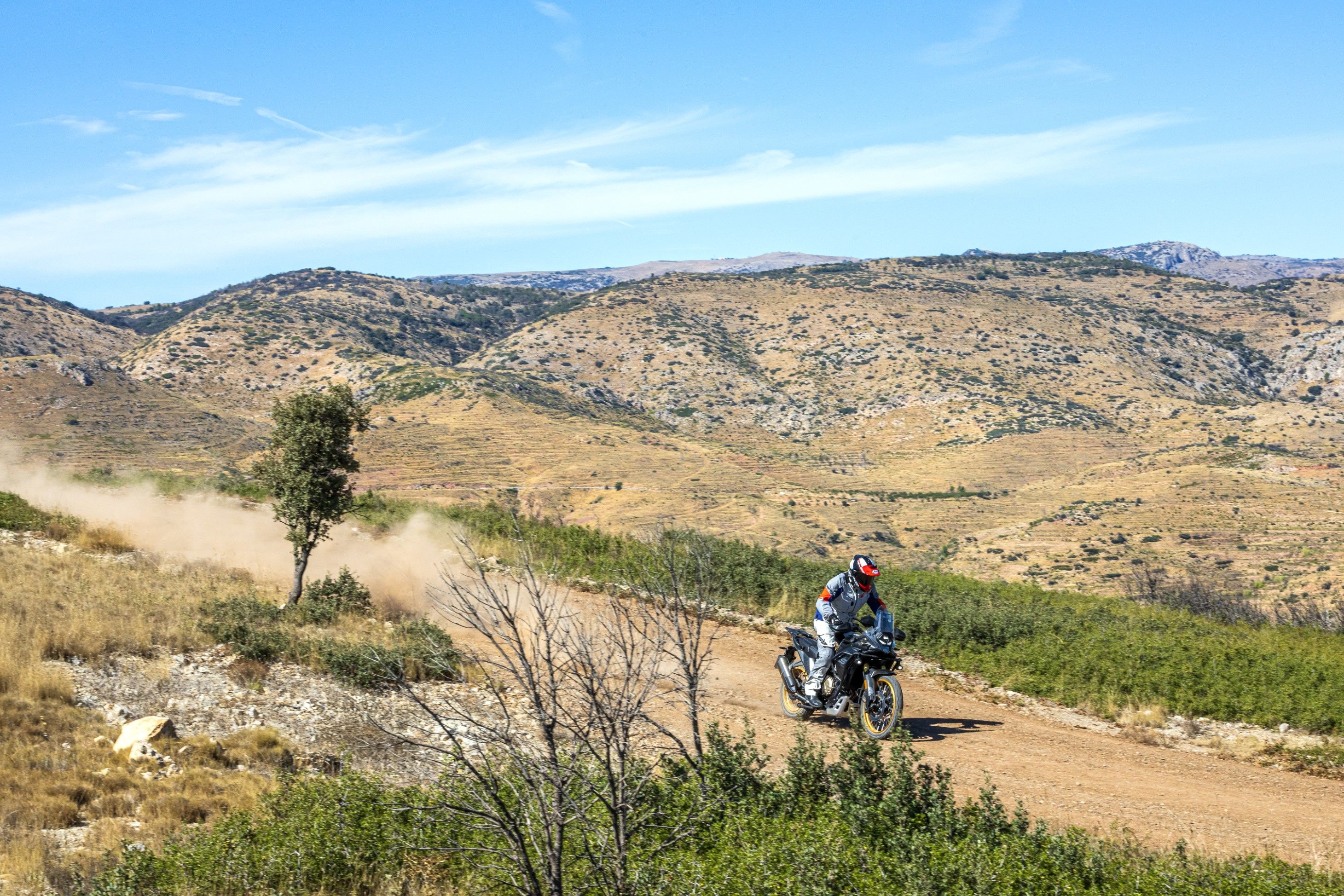 VOGE DS800 RALLY   SANTI AYALA 27 (Grande)