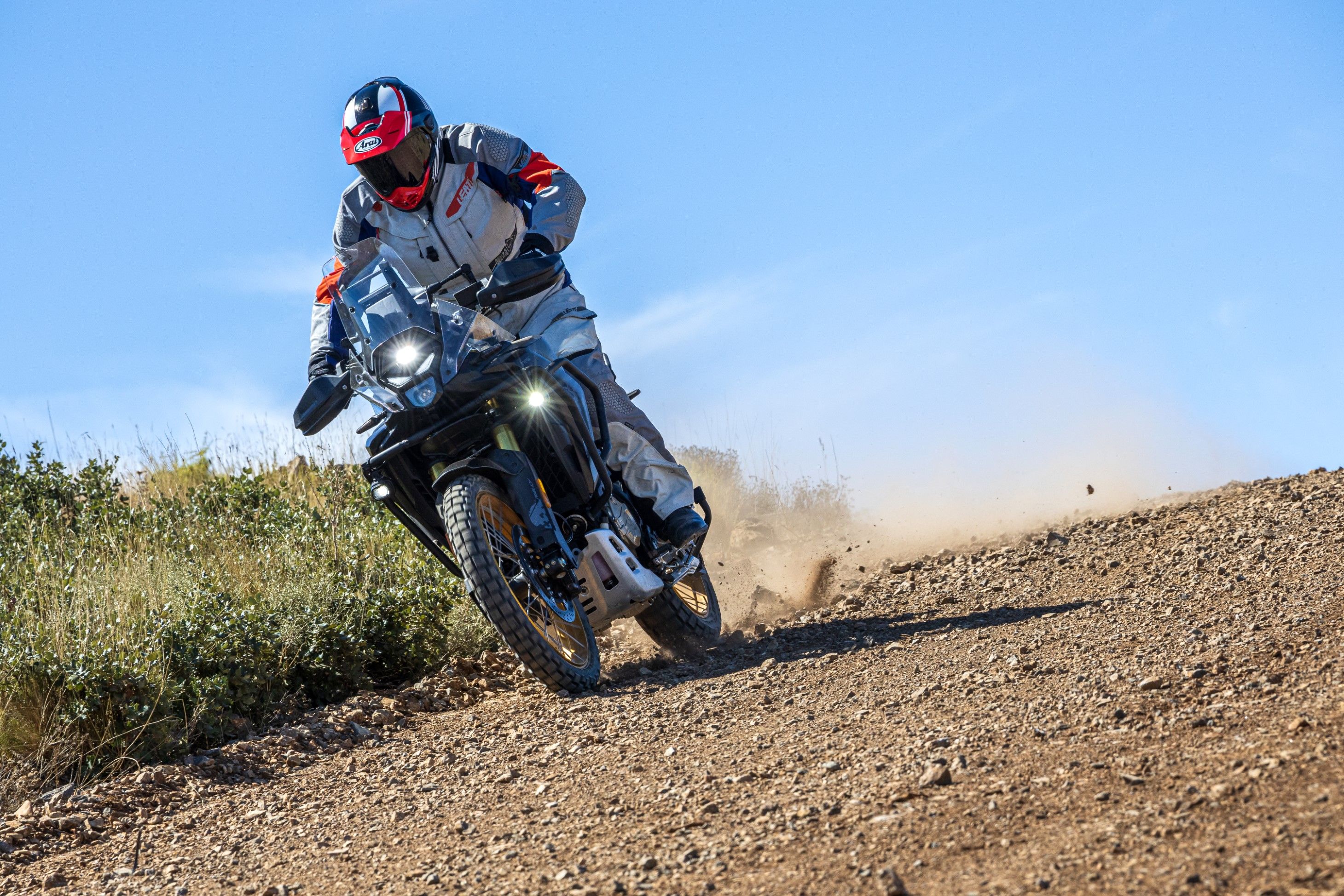 VOGE DS800 RALLY   SANTI AYALA 24 (Grande)