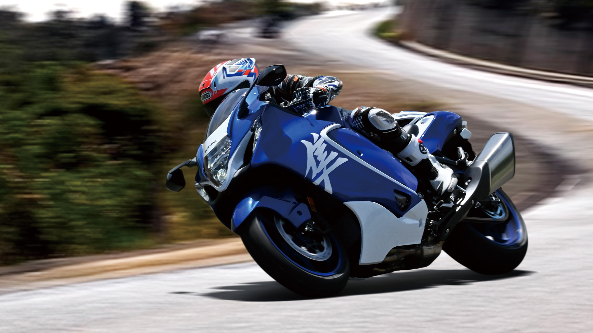 Suzuki Hayabusa Special Edition 2026 Accion (2)