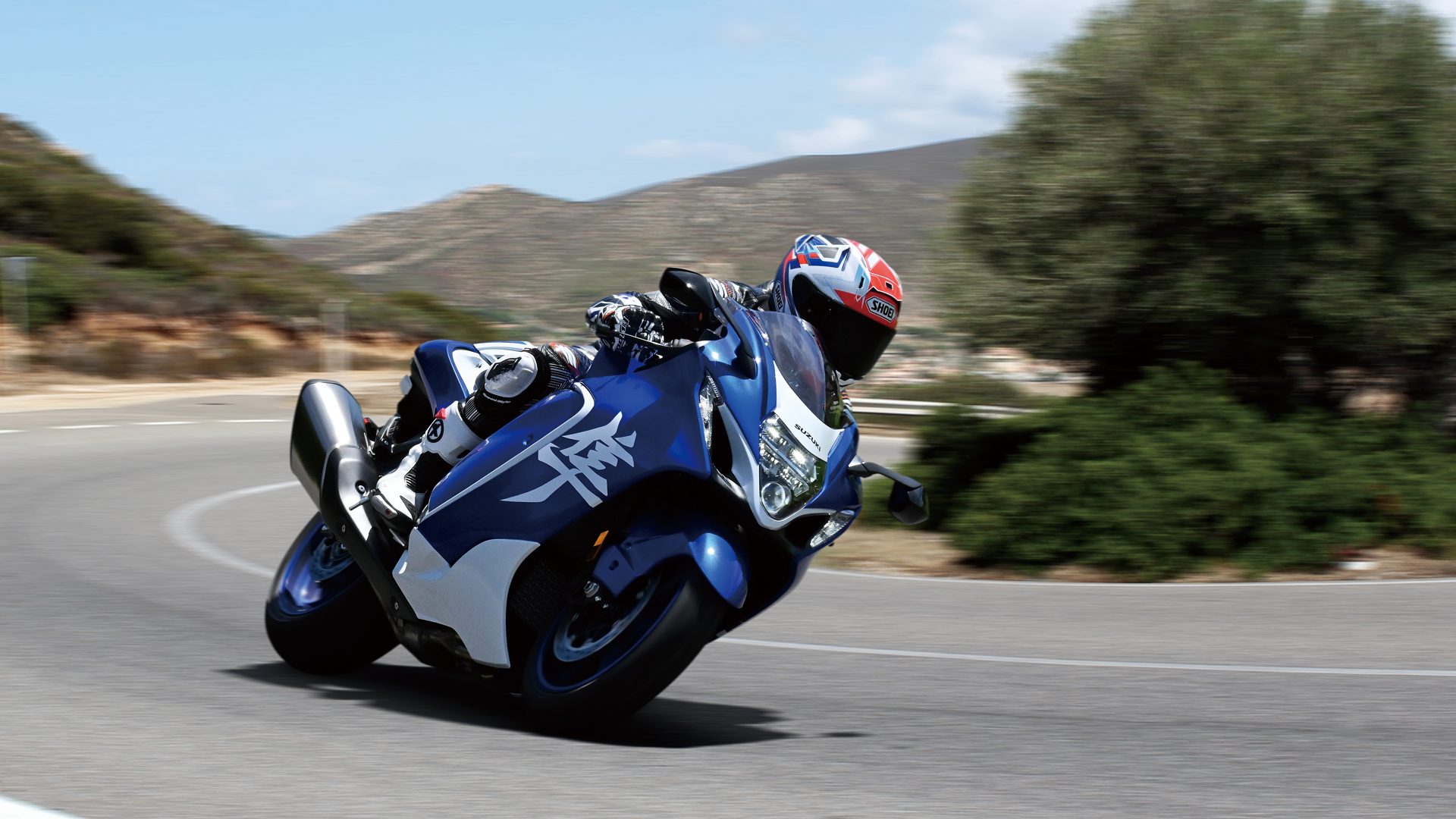 Suzuki Hayabusa Special Edition 2026 Accion (4)