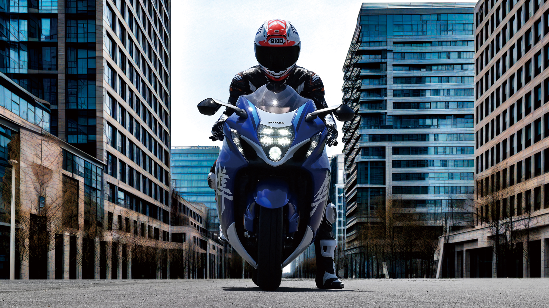 Suzuki Hayabusa Special Edition 2026 Accion (5)