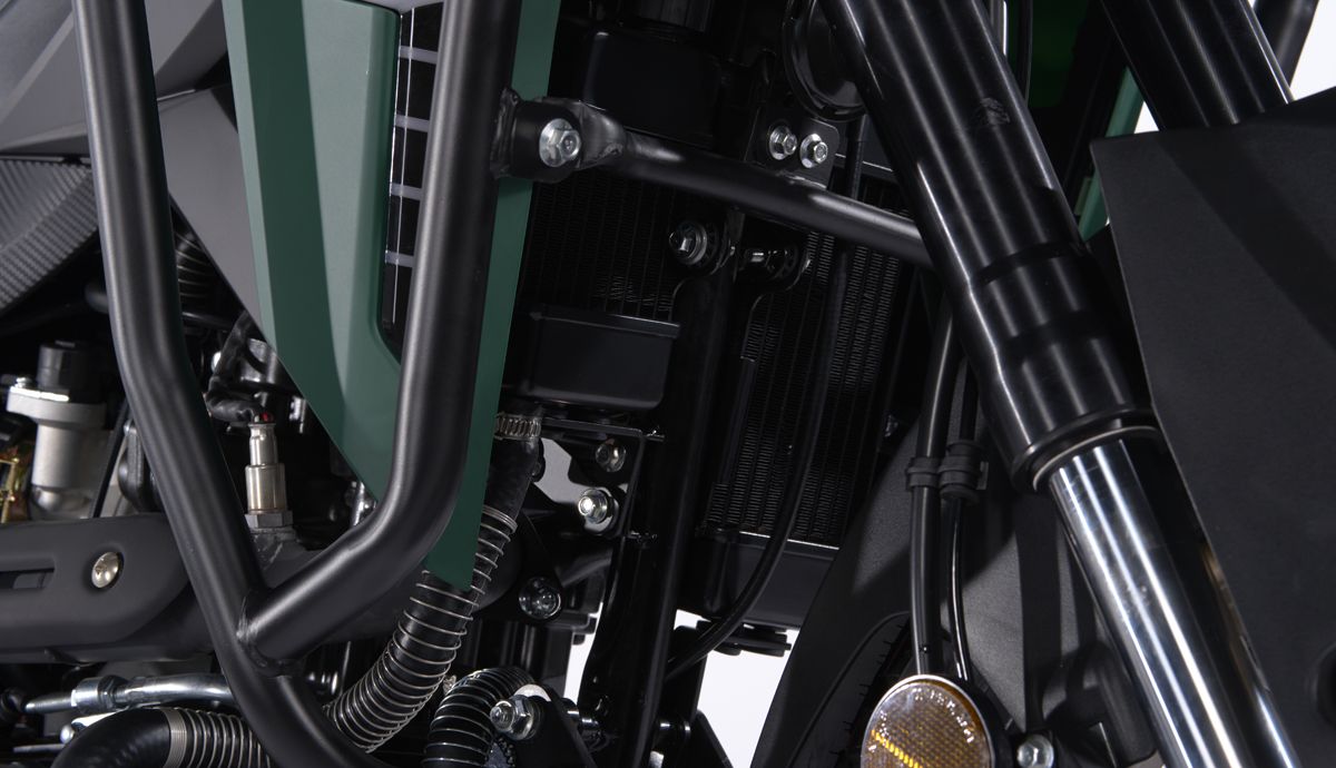 2025 mitt desert verde detalle (2)