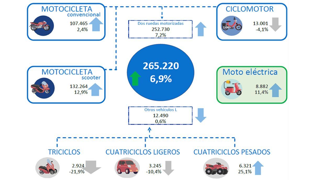 informe anesdor matriculaciones categoria L