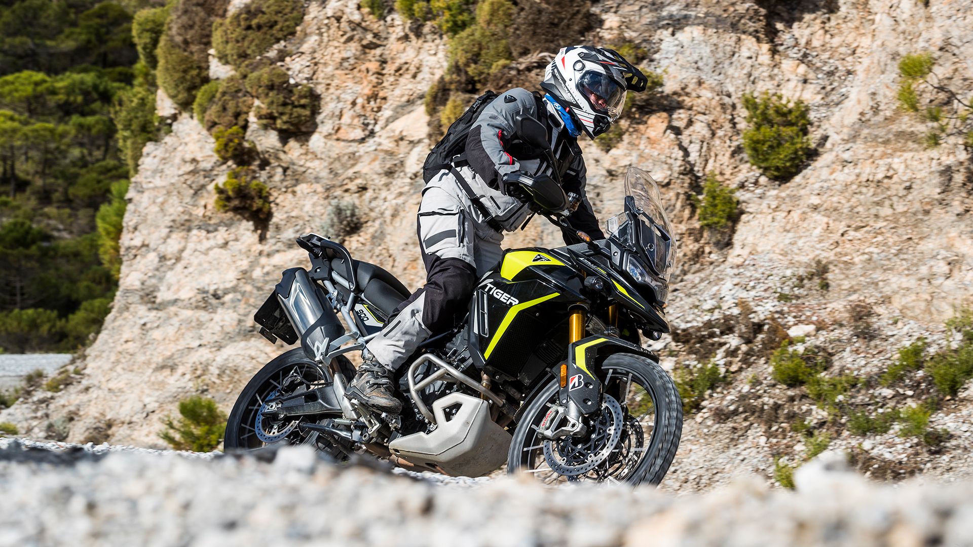 Triumph Tiger 900 Rally Pro 2025 Accion (7)