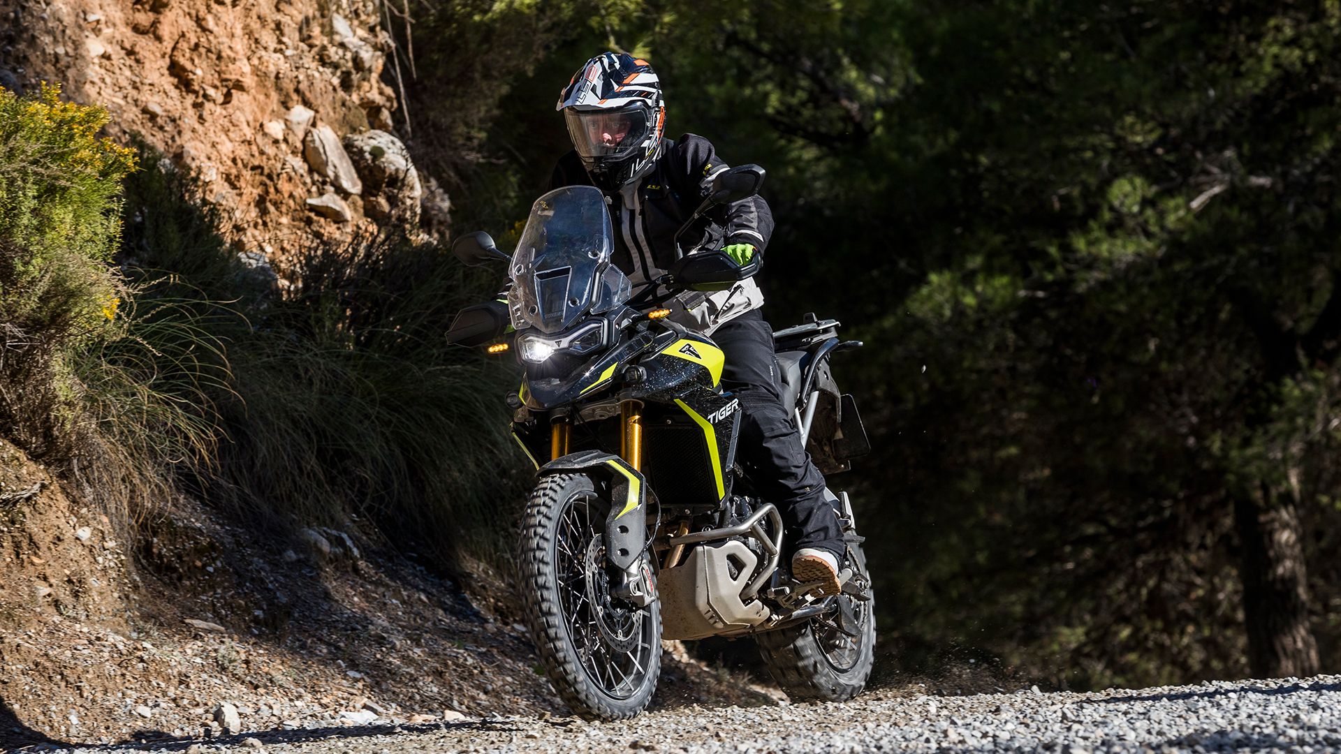 Triumph Tiger 900 Rally Pro 2025 Accion (13)