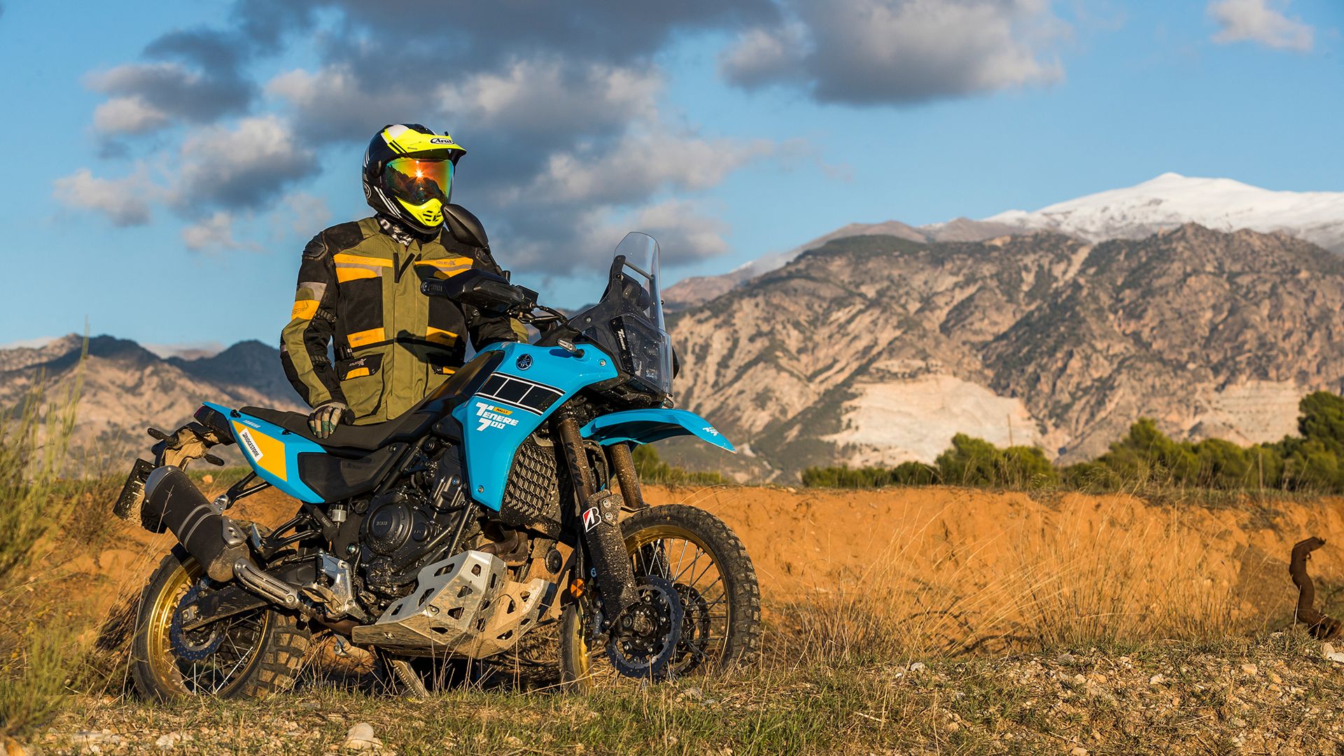 Yamaha XTZ700 Ténéré Rally Estática