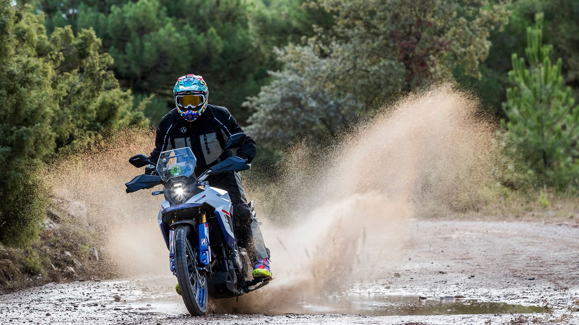 Suzuki V Strom 800DE 2025 Accion (8)