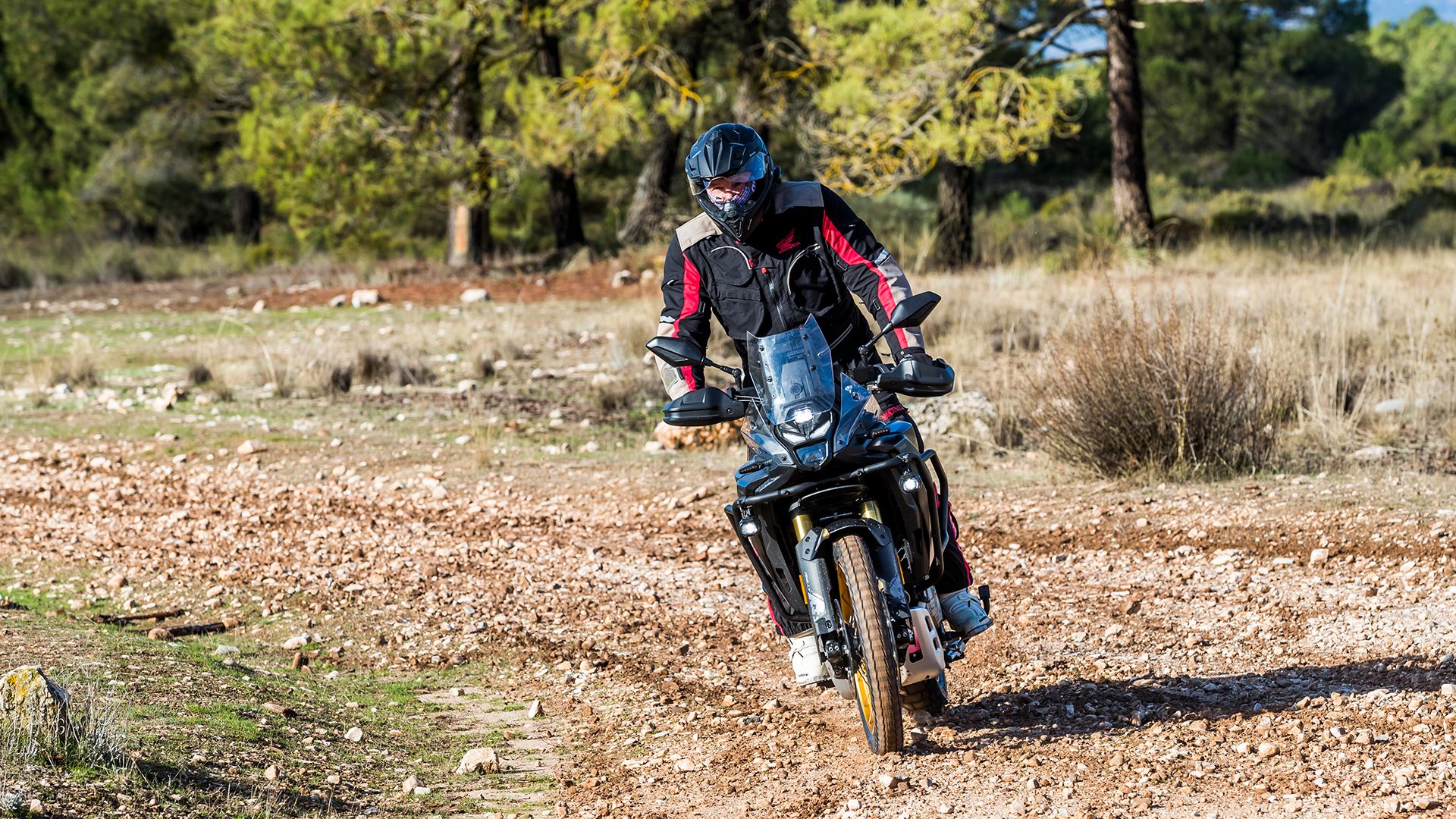 Voge DS800 Rally 2025 Accion (3)