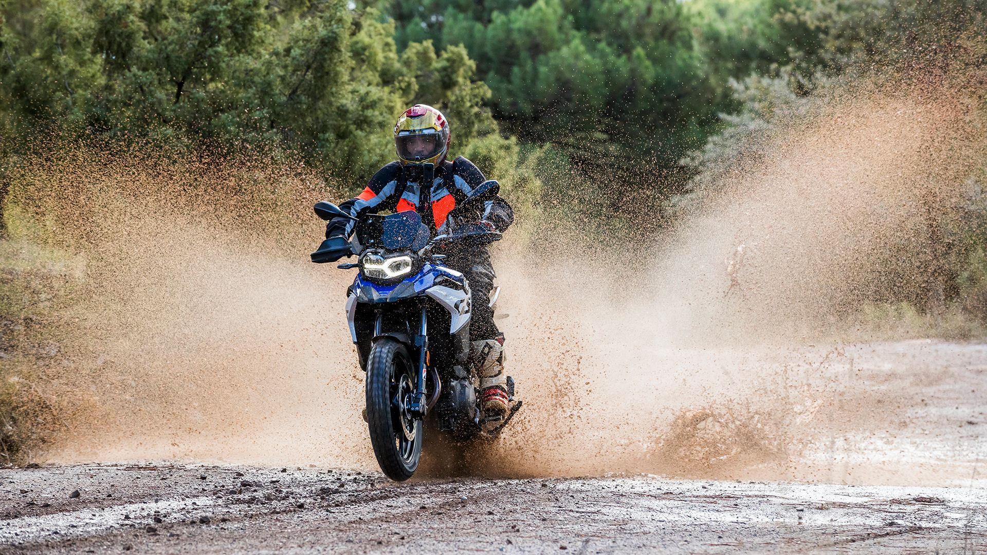 BMW F 800 GS 2025 Accion (12)