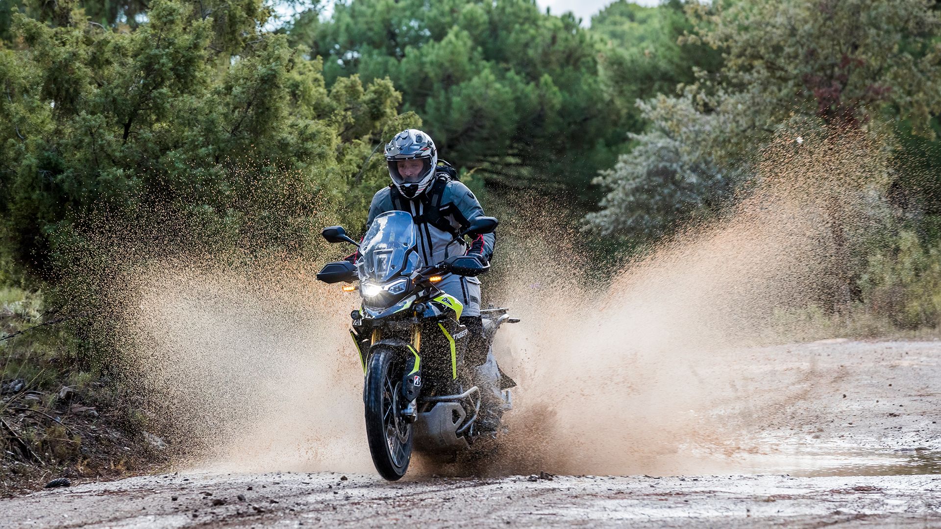 Triumph Tiger 900 Rally Pro 2025 Accion (8)