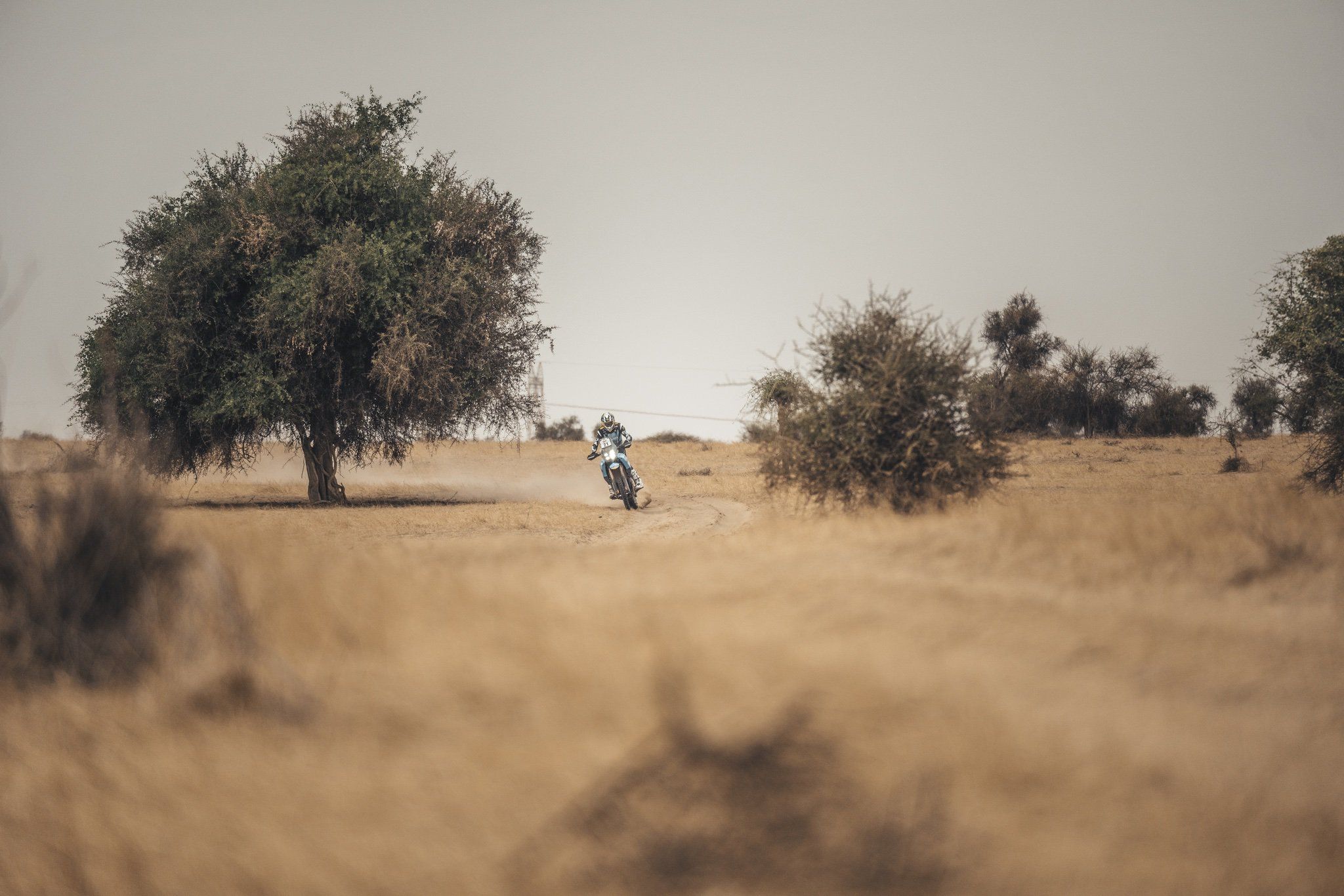 Fotos Africa Eco Race 2026.