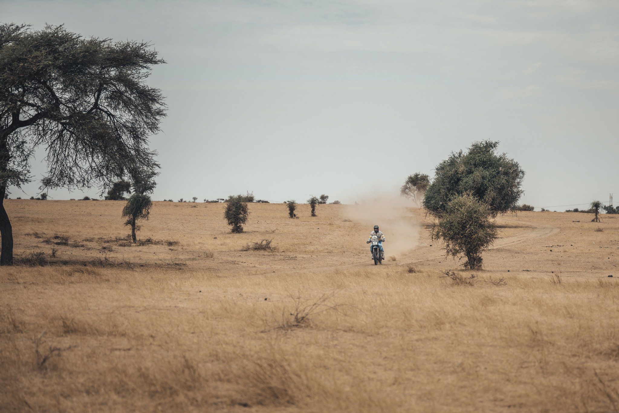 Fotos Africa Eco Race 2026.