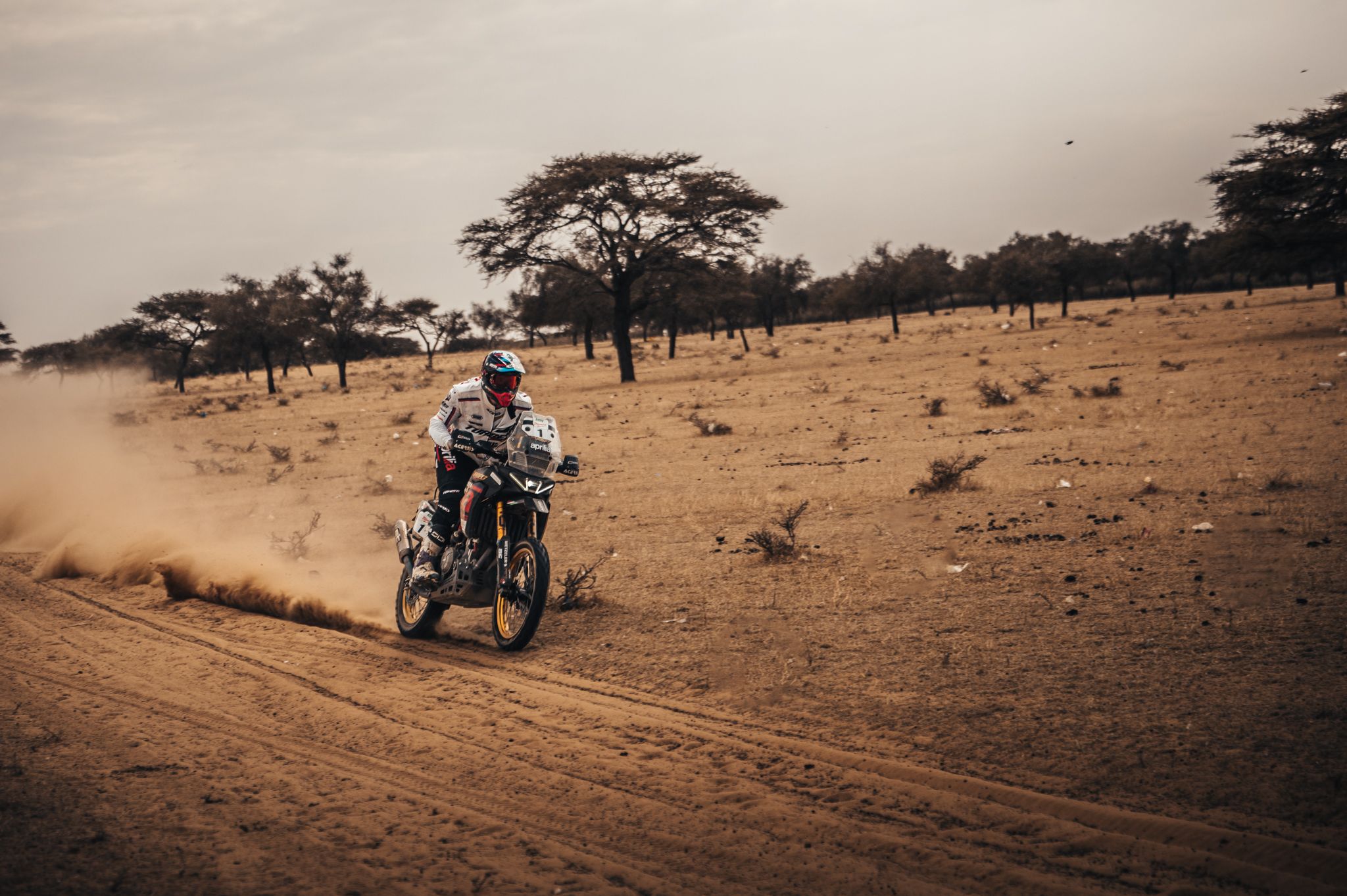 Fotos Africa Eco Race 2026.