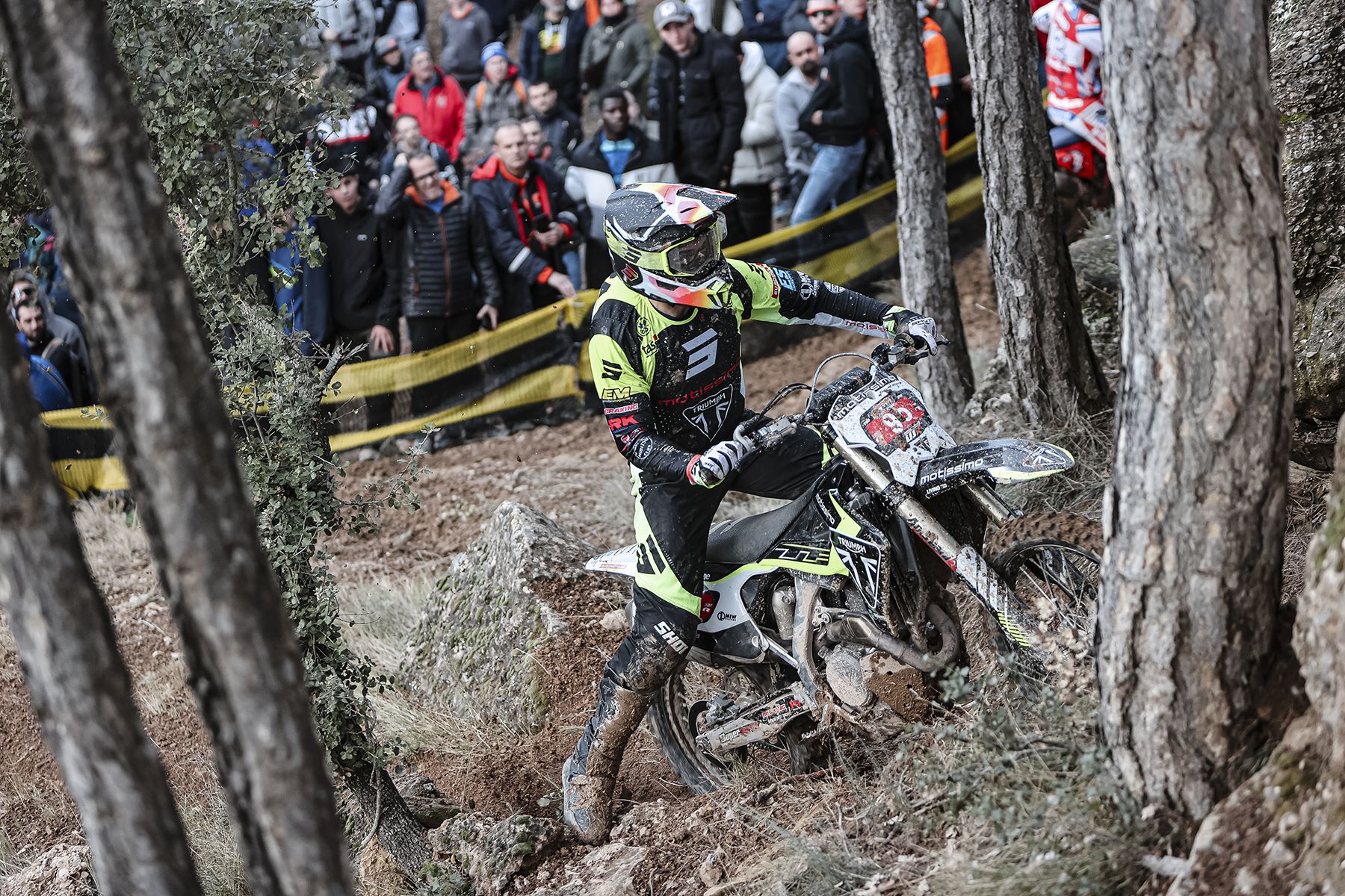 Fotos Basella Race 2026.