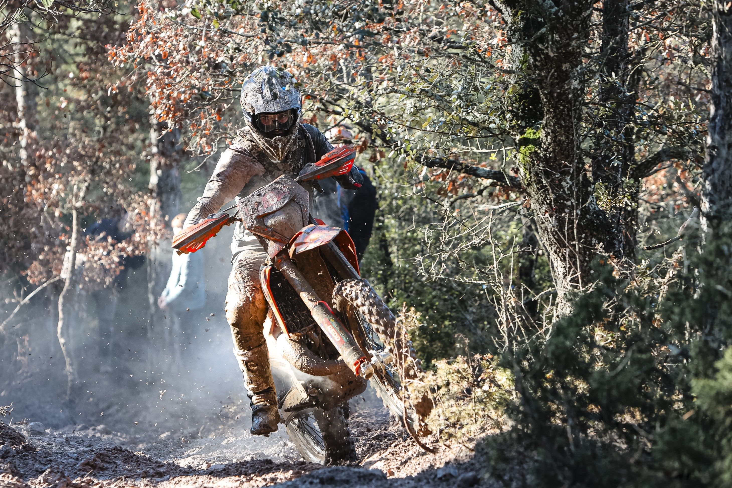 Fotos Basella Race 2026.