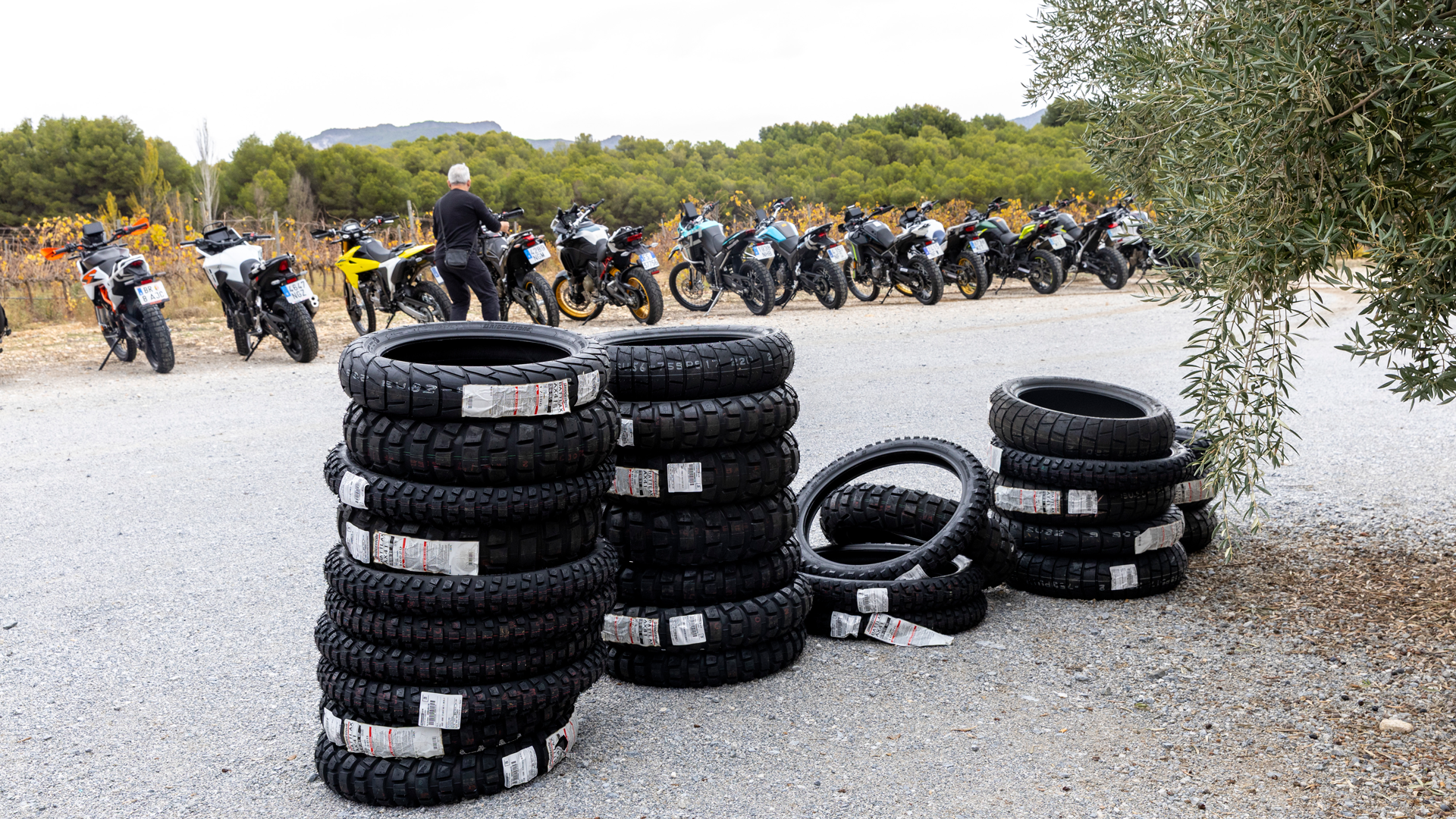 MTT 2025 Ambiente JOC0015