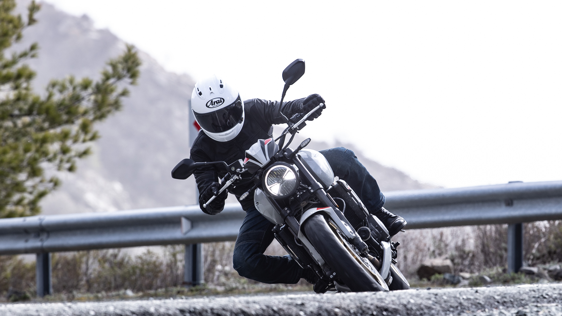 Triumph Trident 800 Launch 2026 CW 3