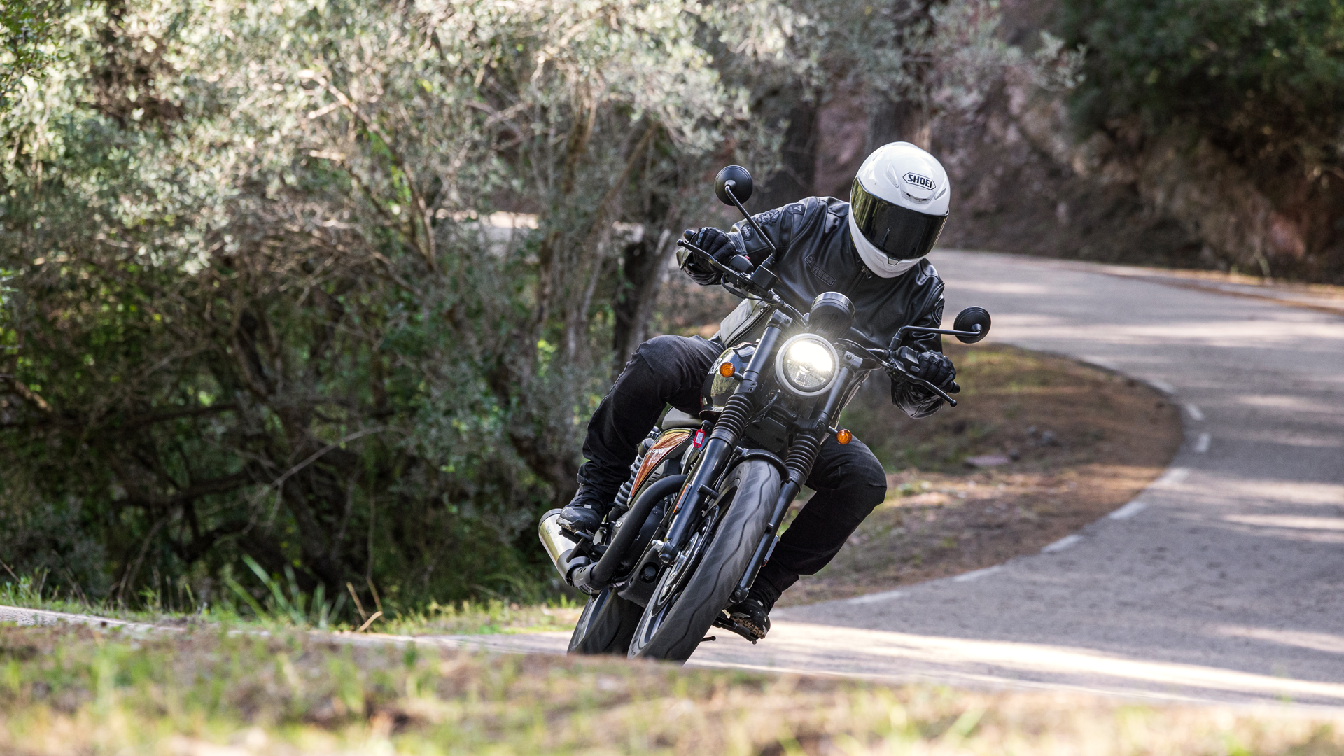 BSA Bantam 350 2026 Accion (20)