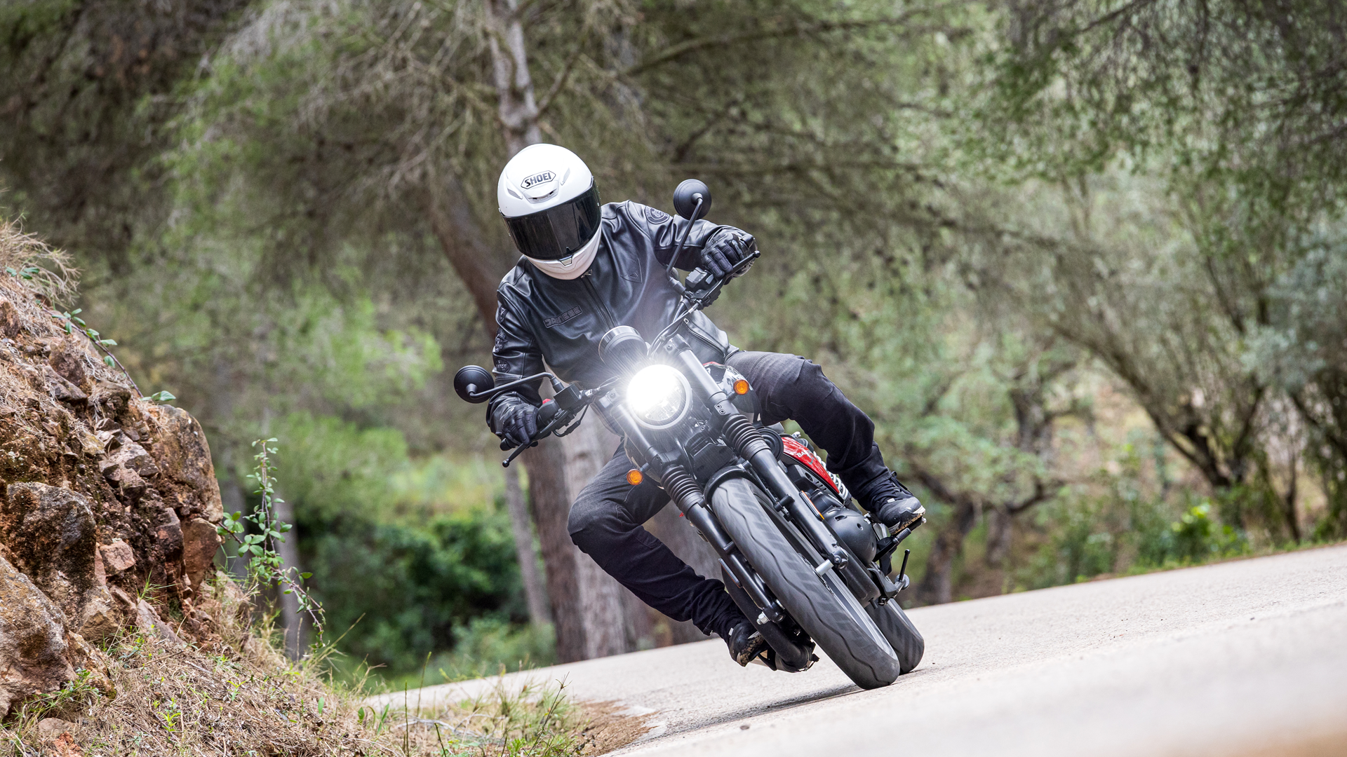 BSA Bantam 350 2026 Accion (24)