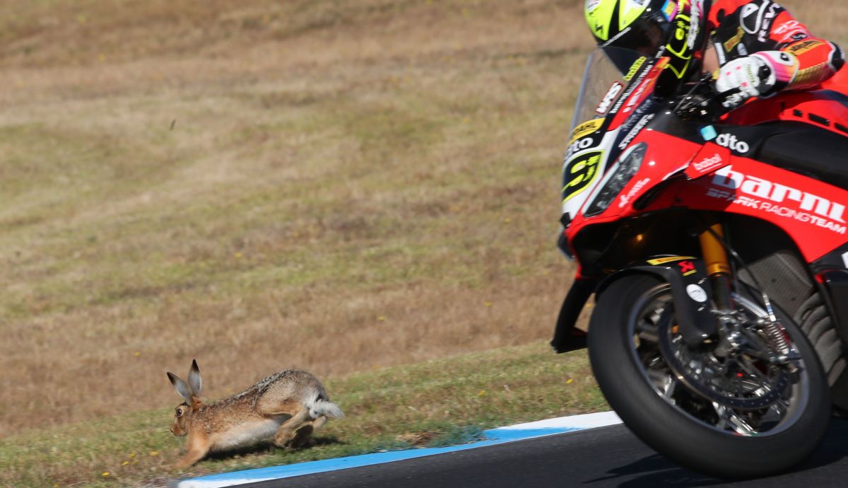 Álvaro Bautista se llevó un susto en el test SBK 2026 de Phillip Island