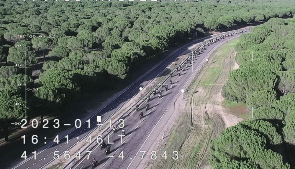 Pinguinos 2026 Detalle 793616401