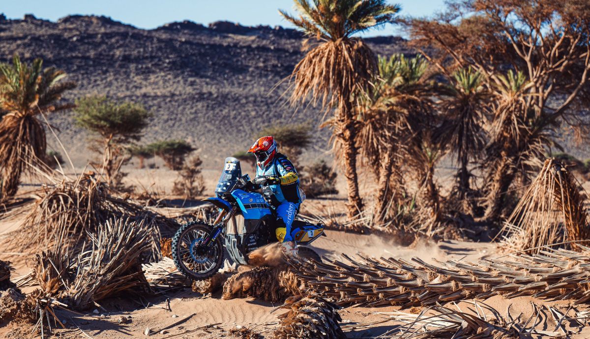 Actiongraphers   003   AG1 9837