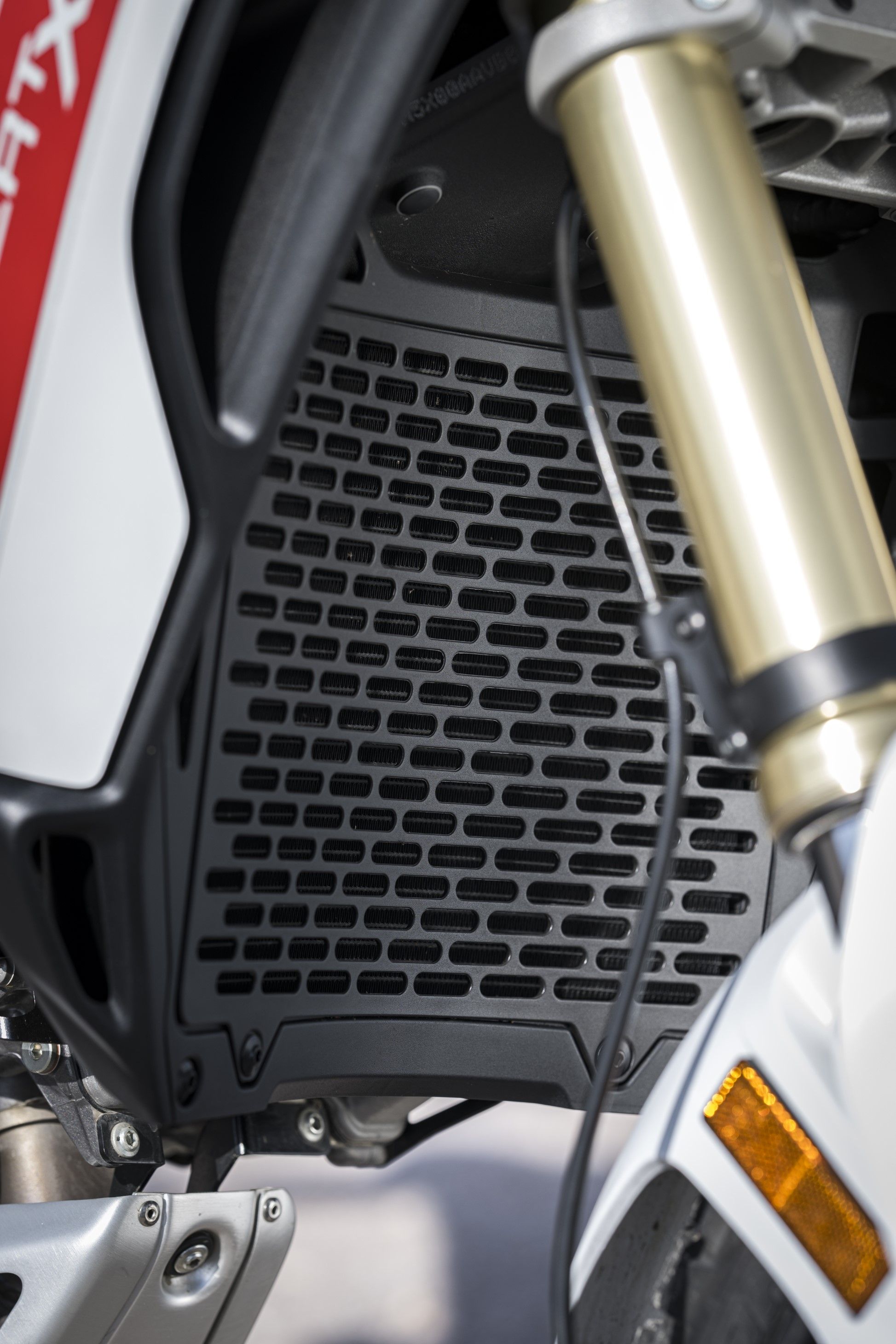 Fotos Ducati DesertX 2026