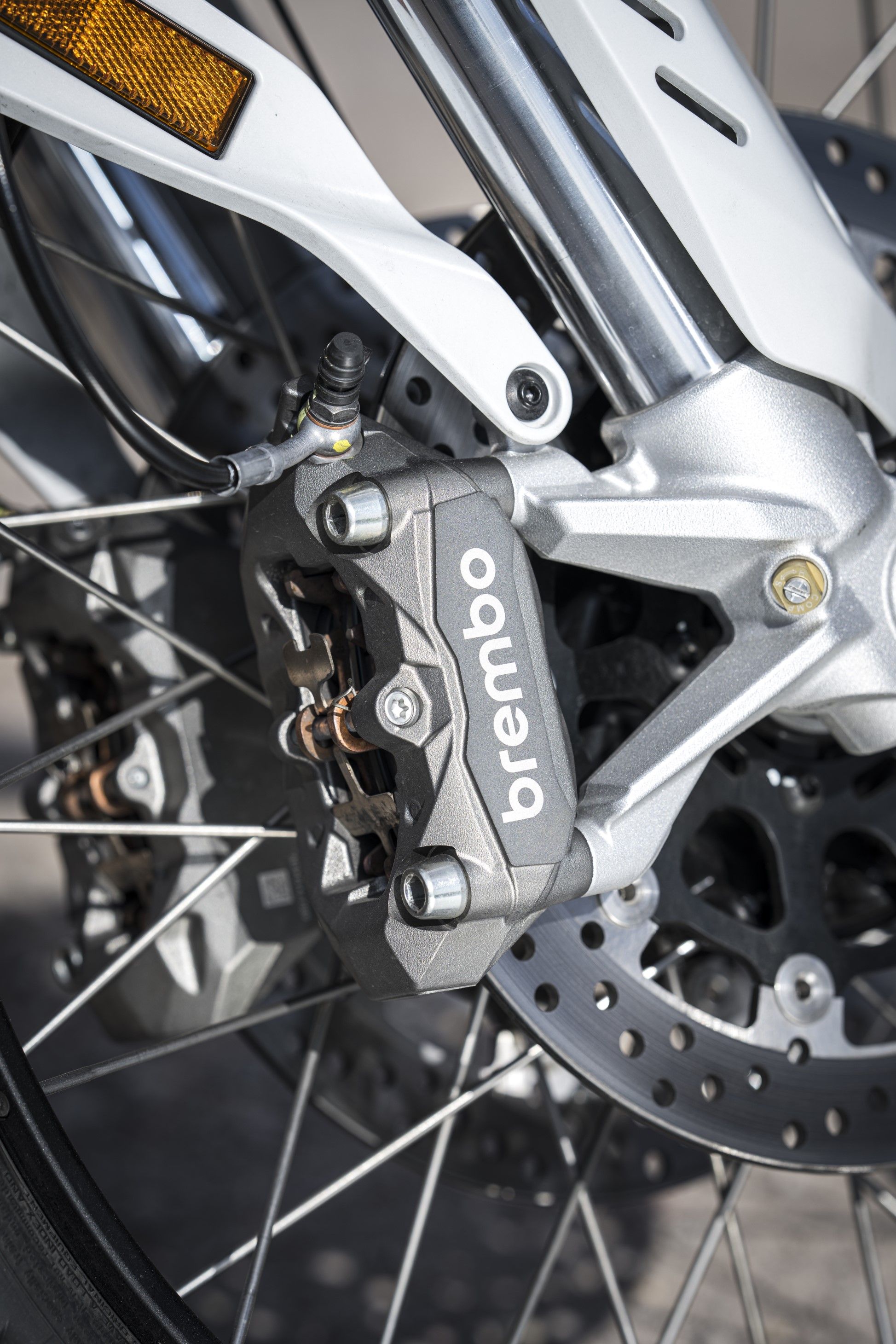 Fotos Ducati DesertX 2026