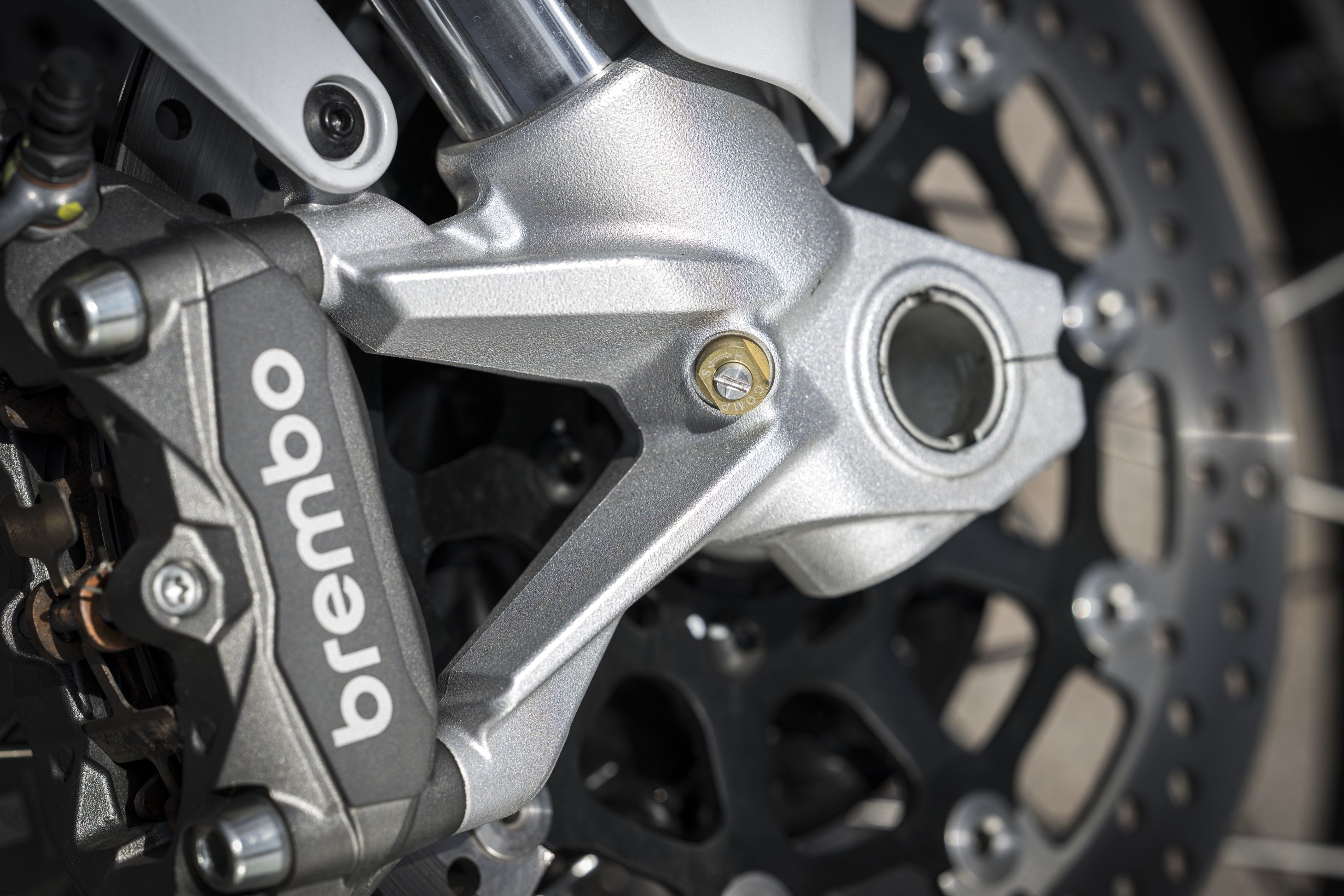 Fotos Ducati DesertX 2026