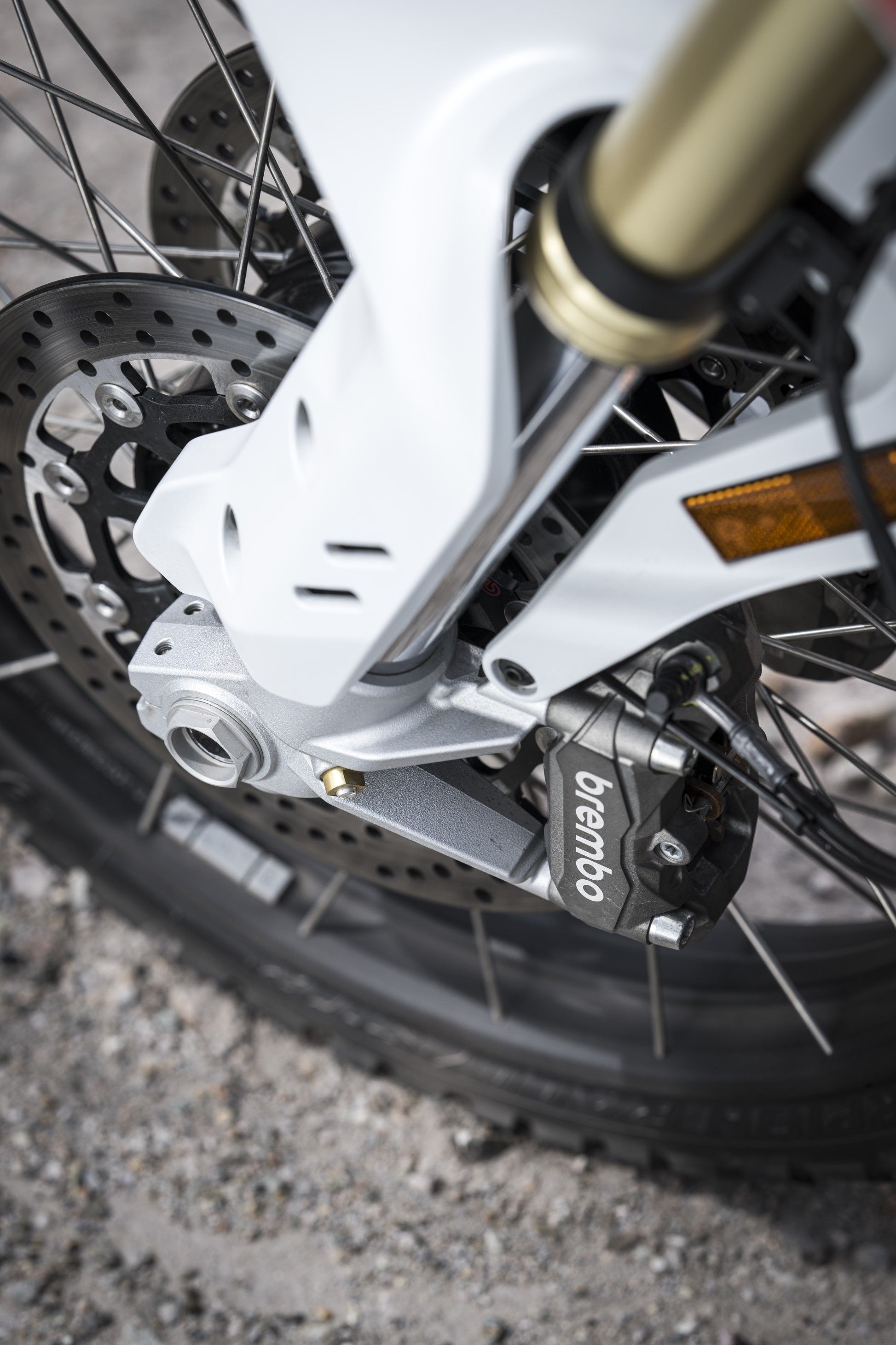 Fotos Ducati DesertX 2026