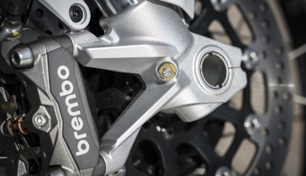 DUCATI DESERTX static details 171 (Grande)