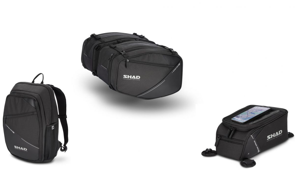 Shad SL (1)