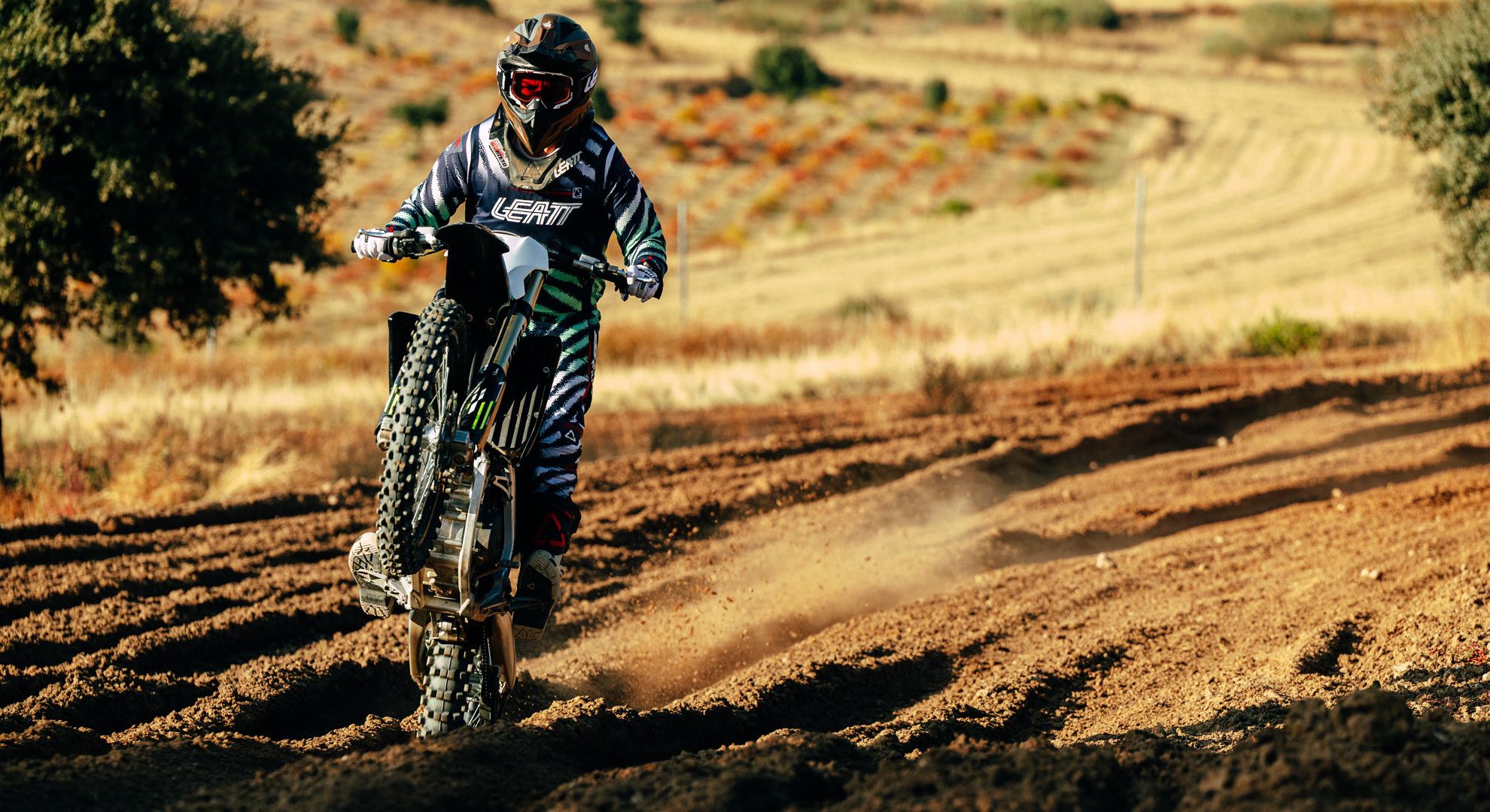 Triumph TF 450X 2026