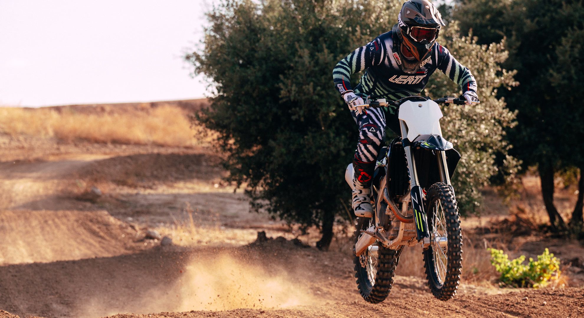 Triumph TF 450X 2026