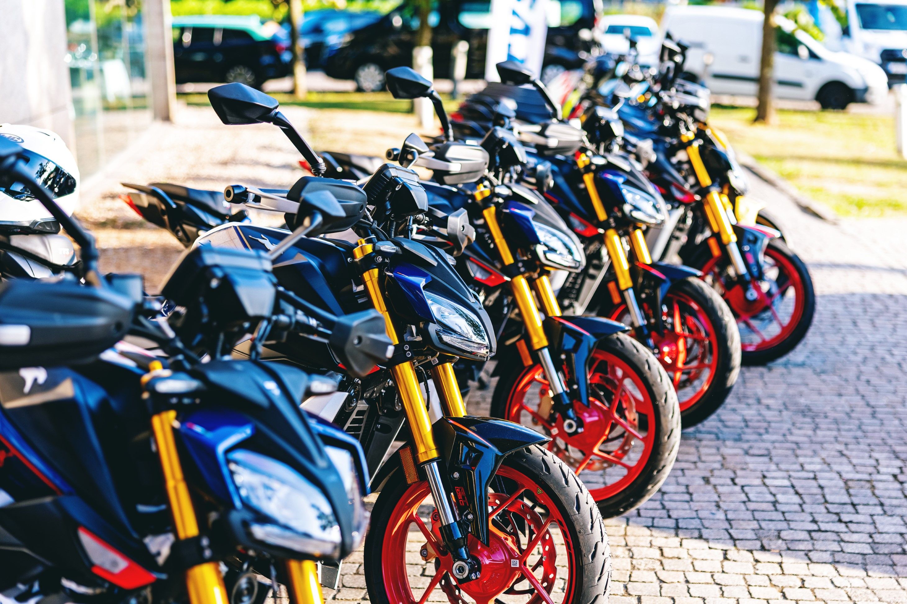 Fotos TVS Gama Performance 2026