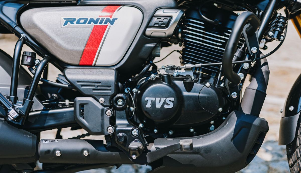 TVS Static&Details 14 (Grande)