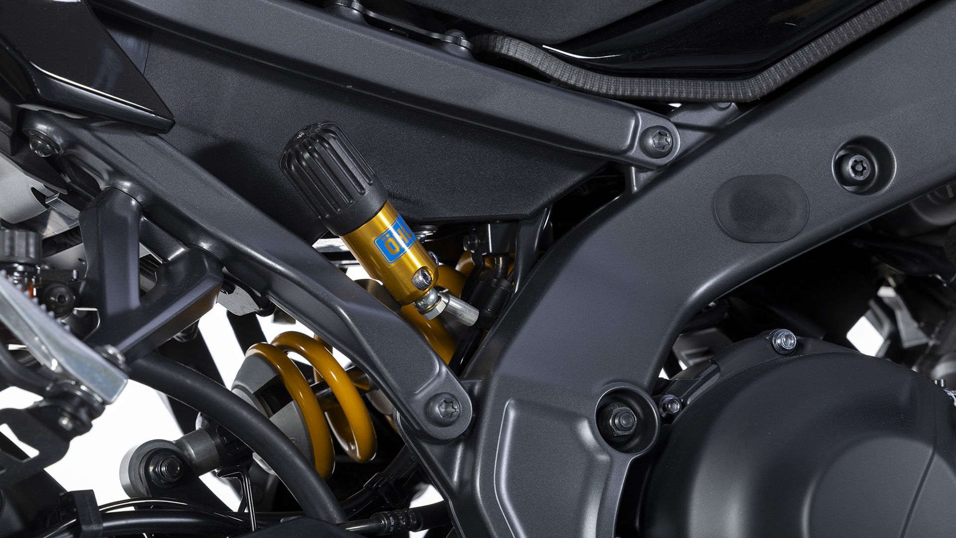 Yamaha MT 09 SP 2026 Detalles (3)