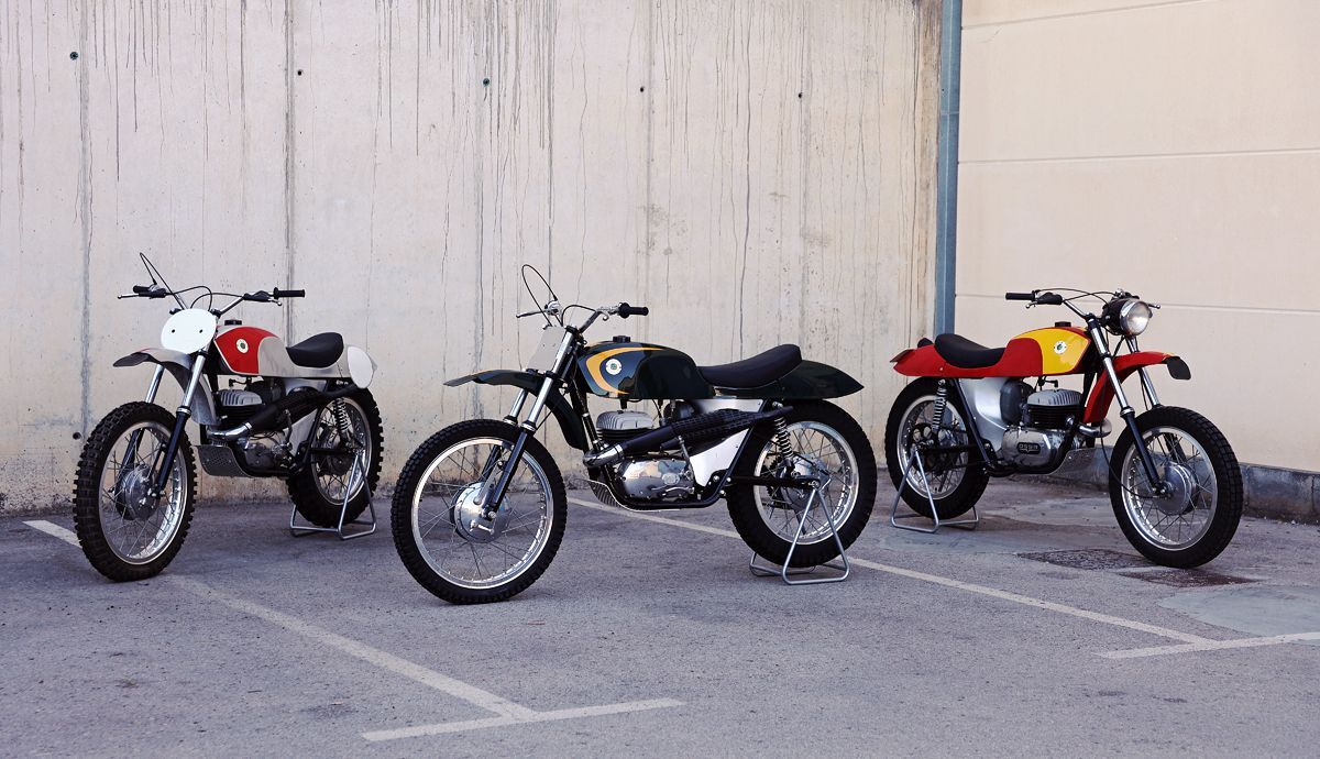 Collection Ossa
