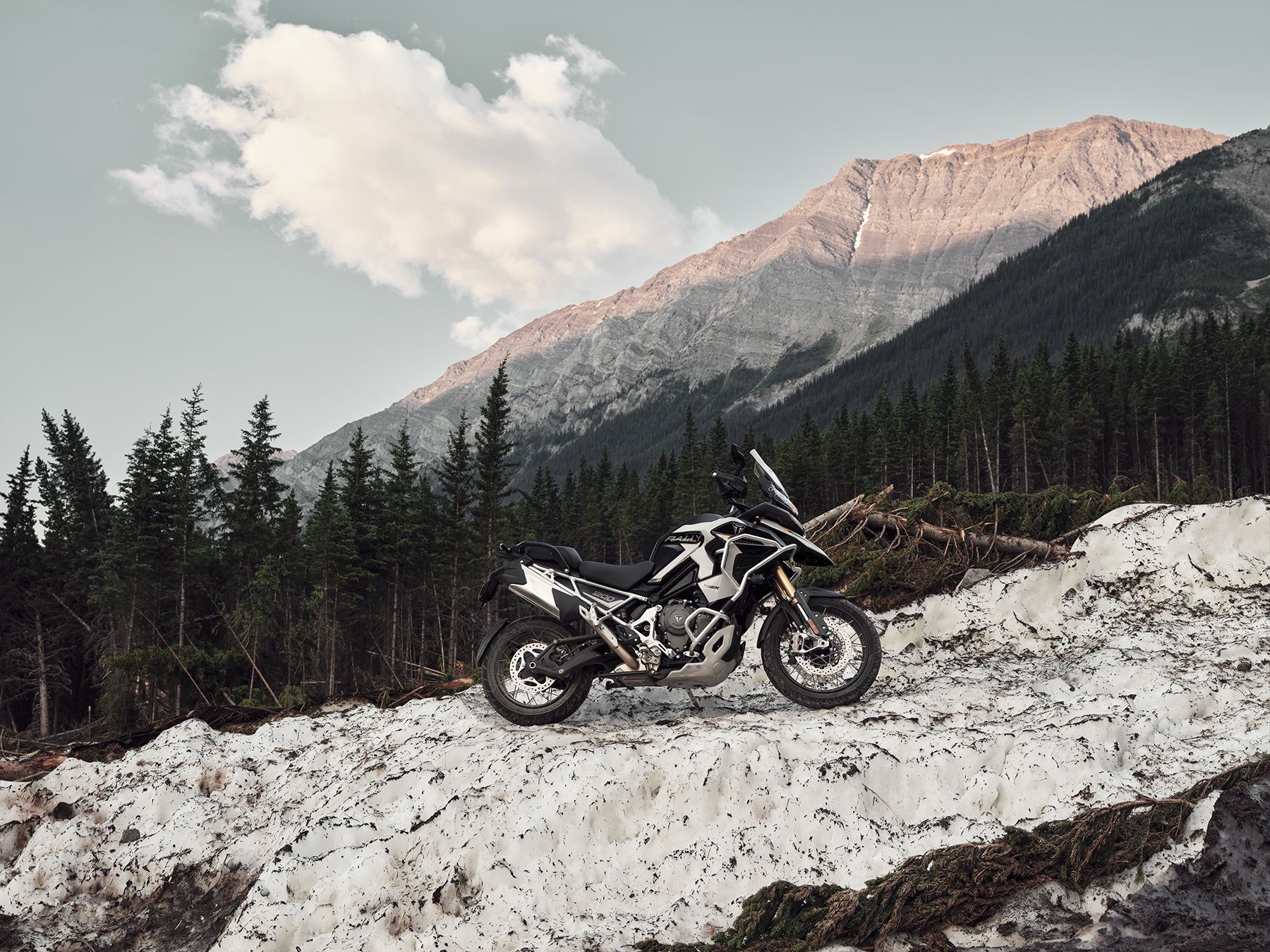Fotos Triumph Tiger 1200 2026