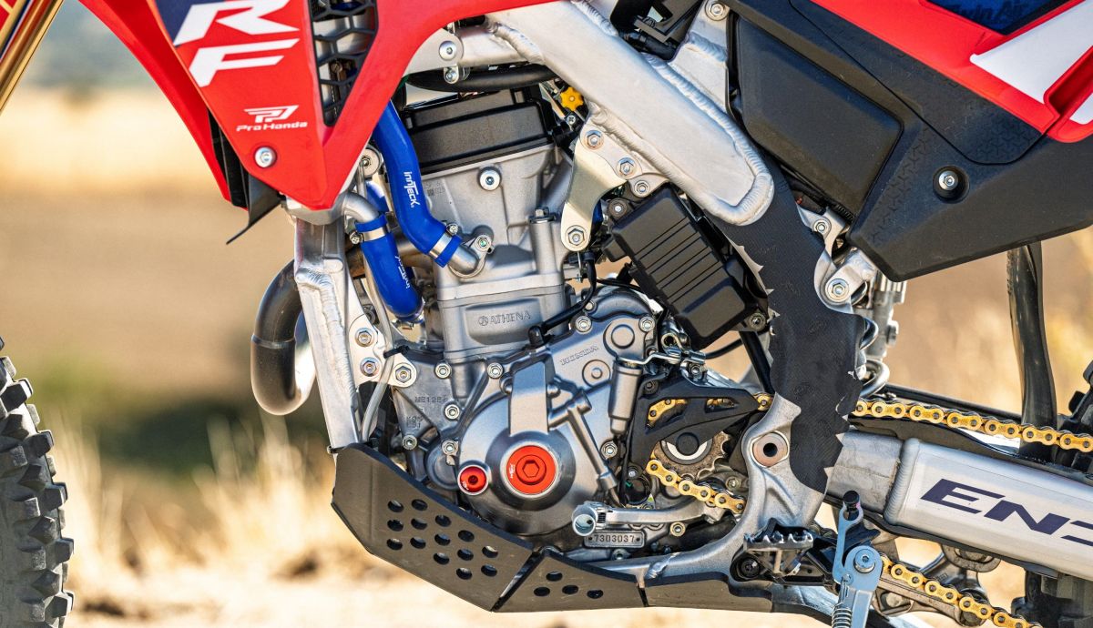 Honda CRF X Molar 24 (Grande)