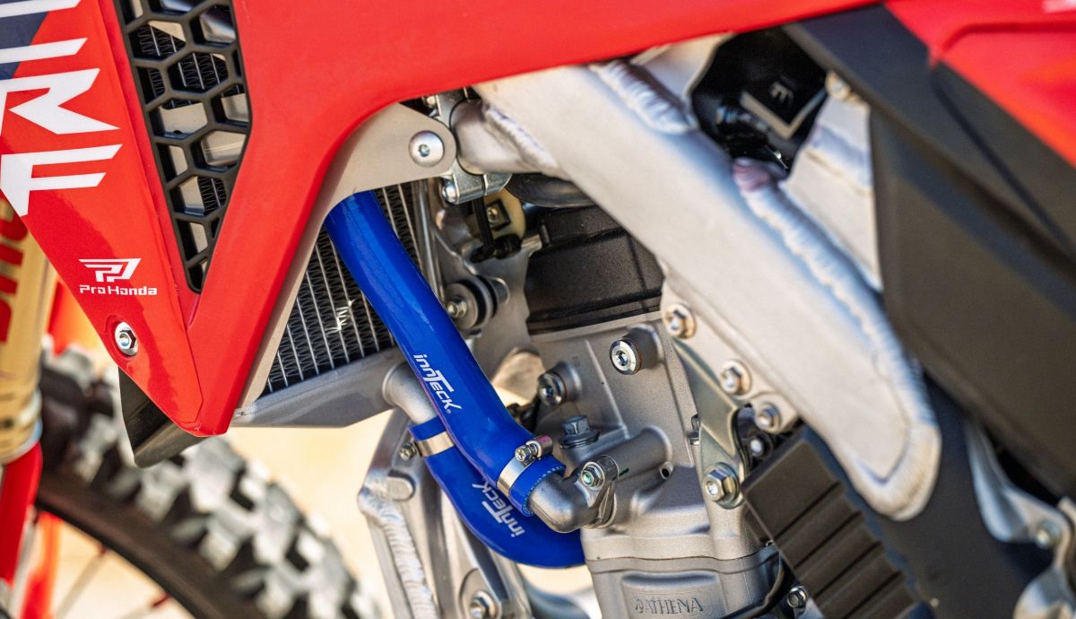 Honda CRF X Molar 29 (Grande)