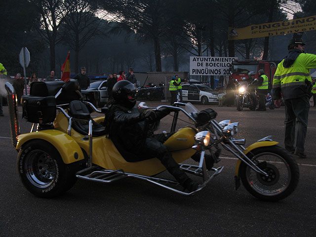 Imagen de Galeria de Pingüinos 2007